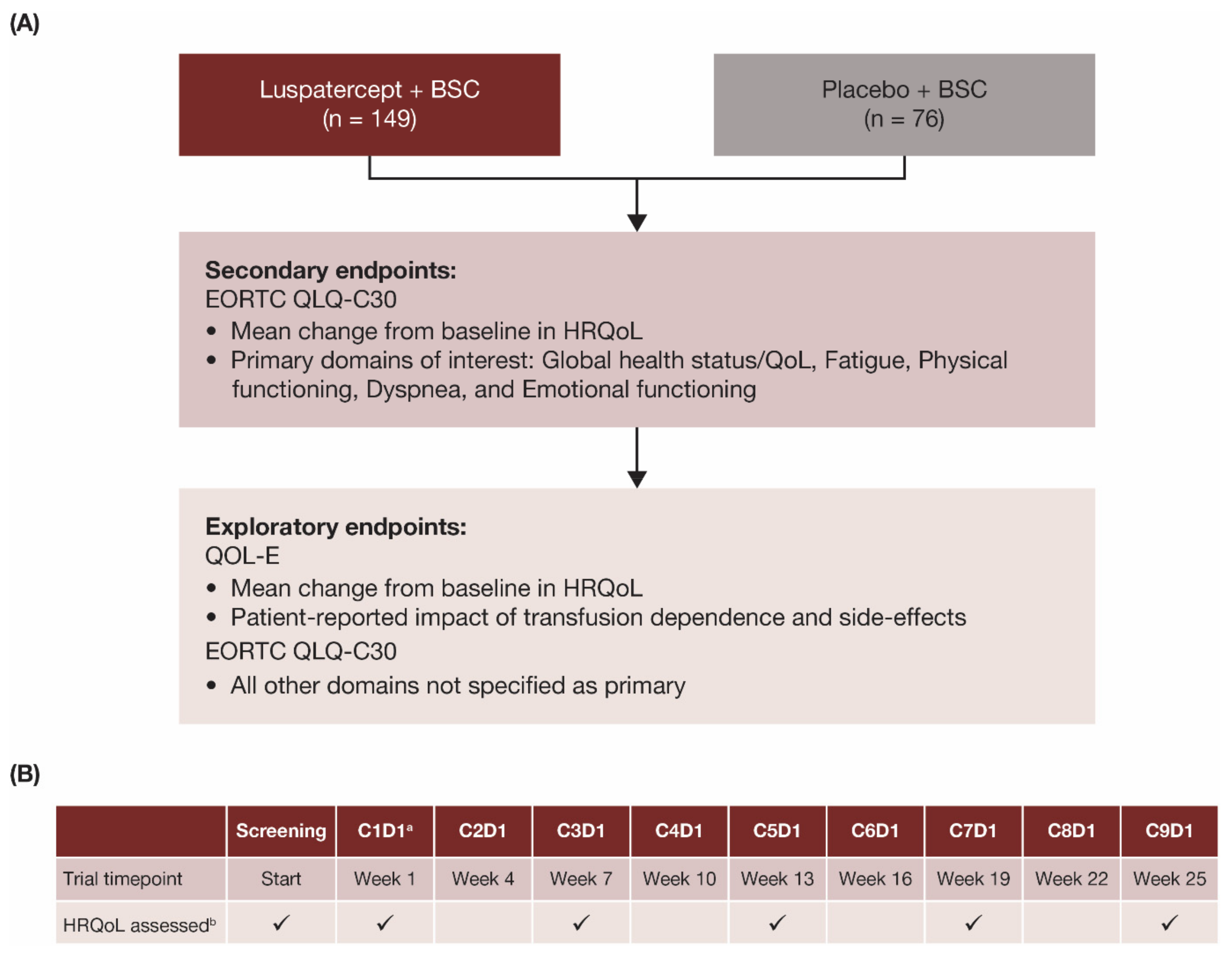 organisation current research and strategies 2011 - 2012 - eortc