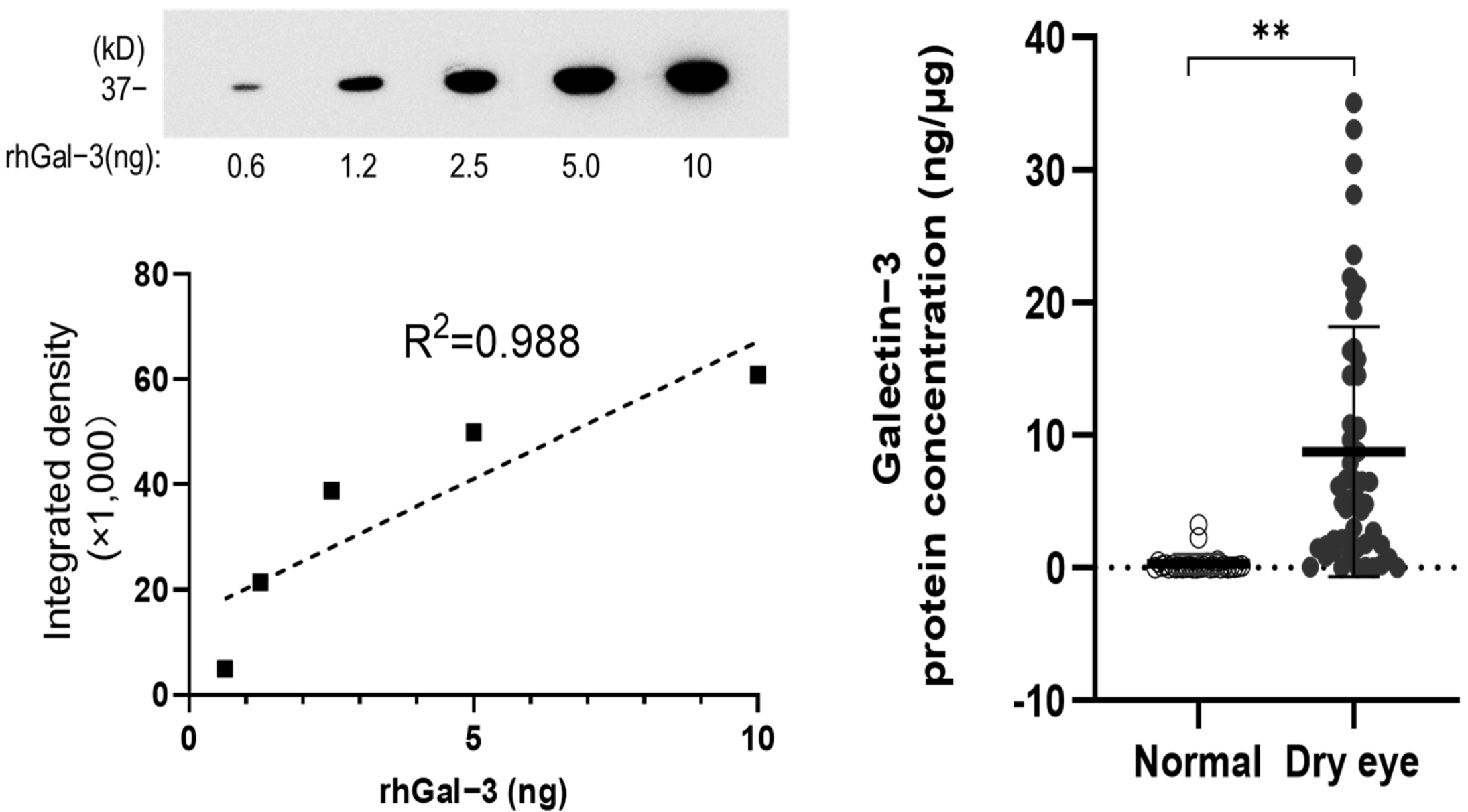 Jcm 11 00066 g001 Jcm 11 00066 g001