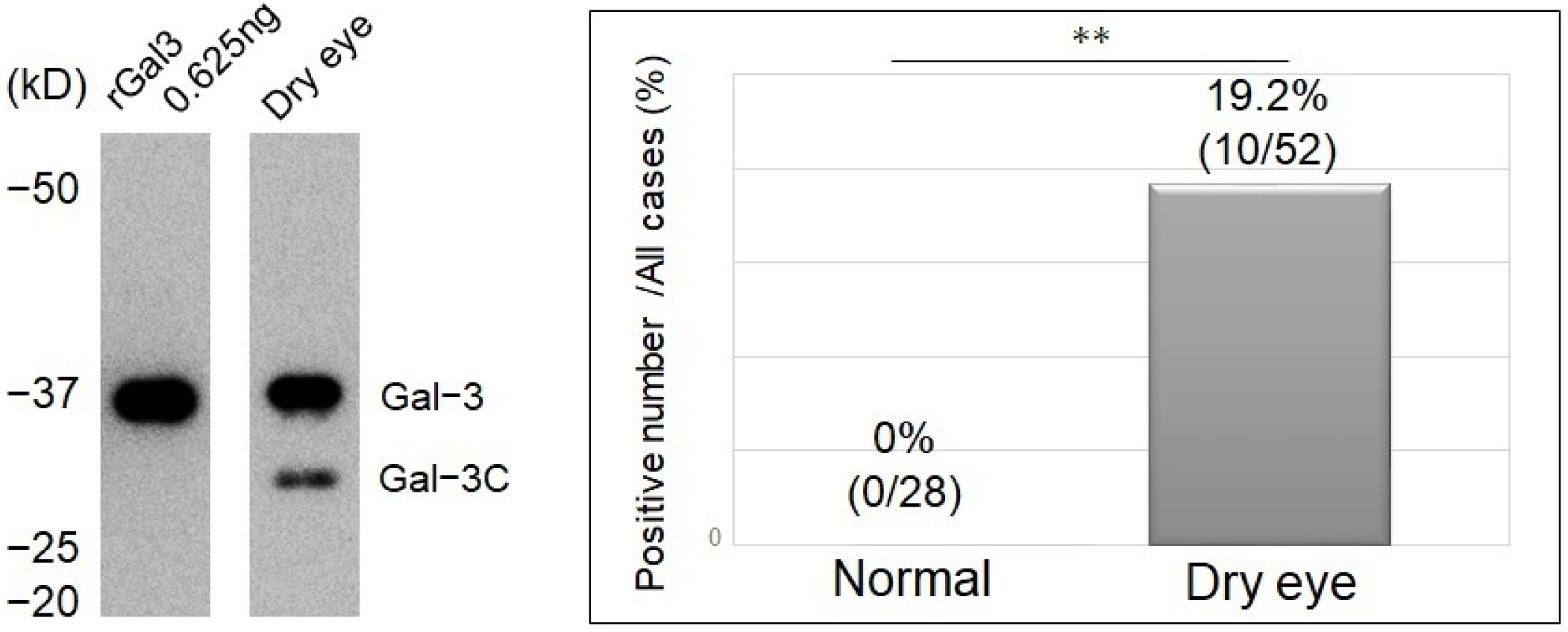 Jcm 11 00066 g004 Jcm 11 00066 g004