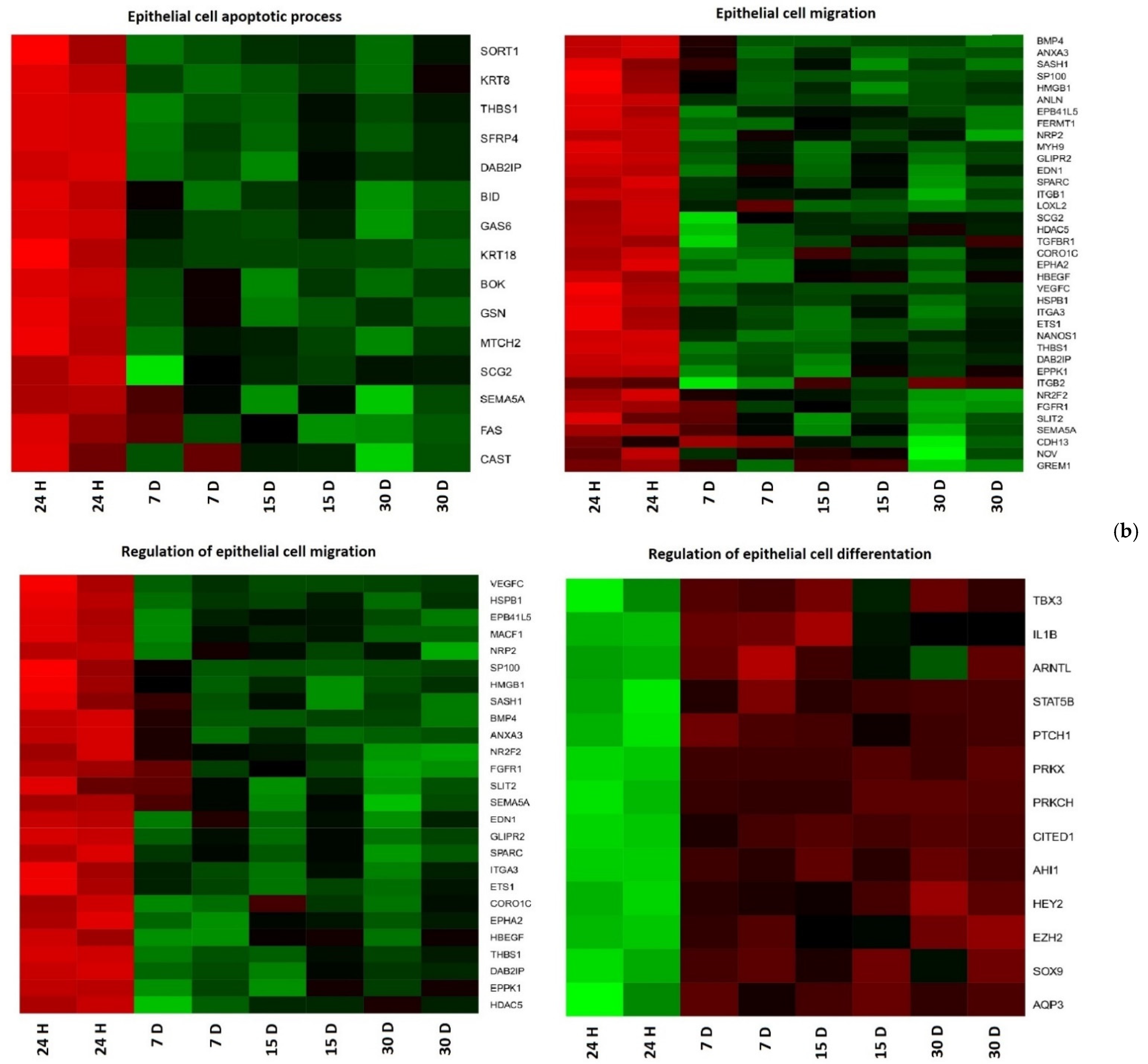 Jcm 11 00073 g001b Jcm 11 00073 g001b