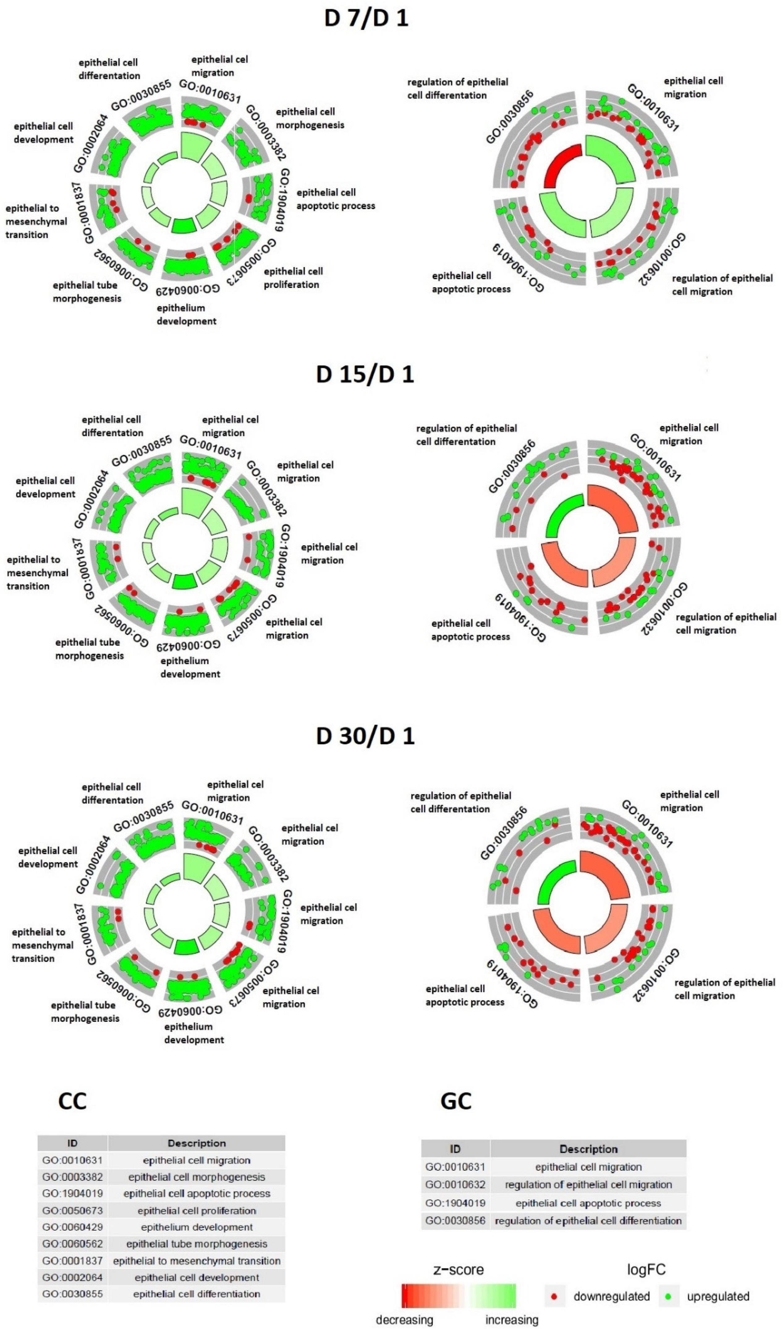 Jcm 11 00073 g002 Jcm 11 00073 g002