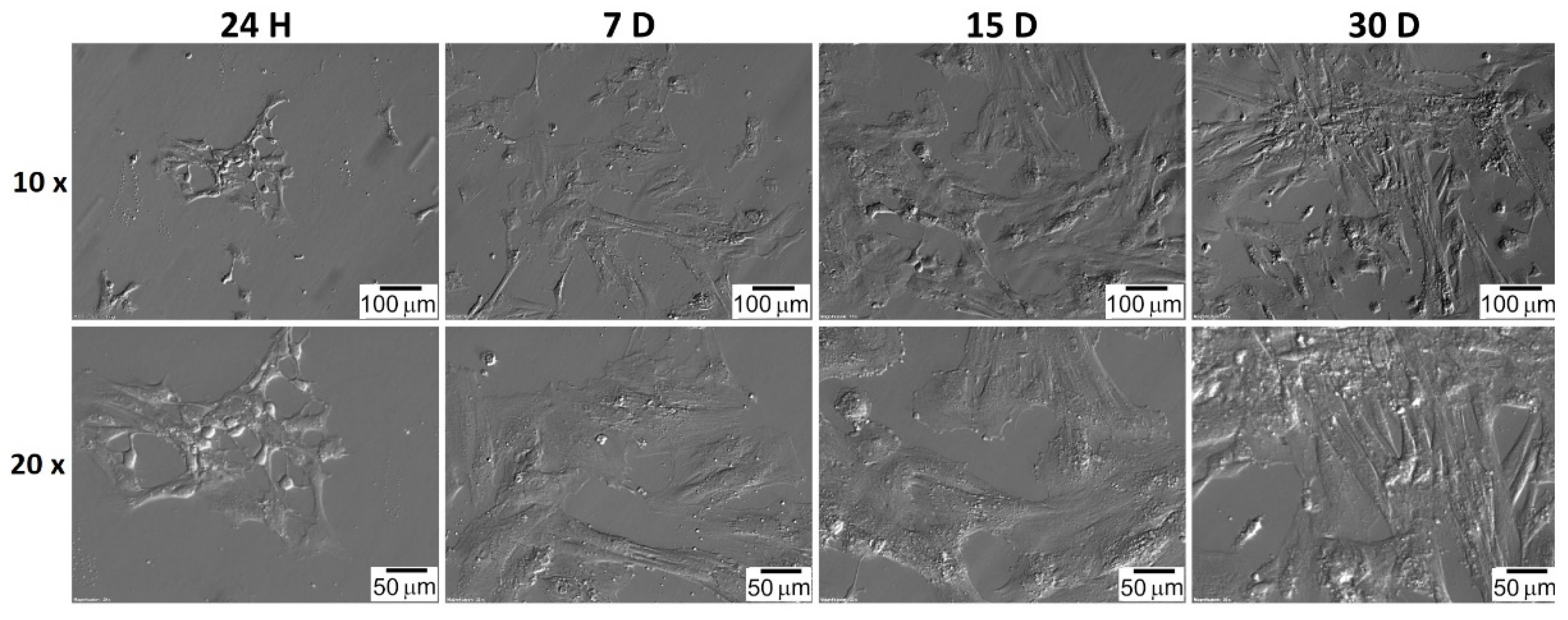 Jcm 11 00073 g007 Jcm 11 00073 g007