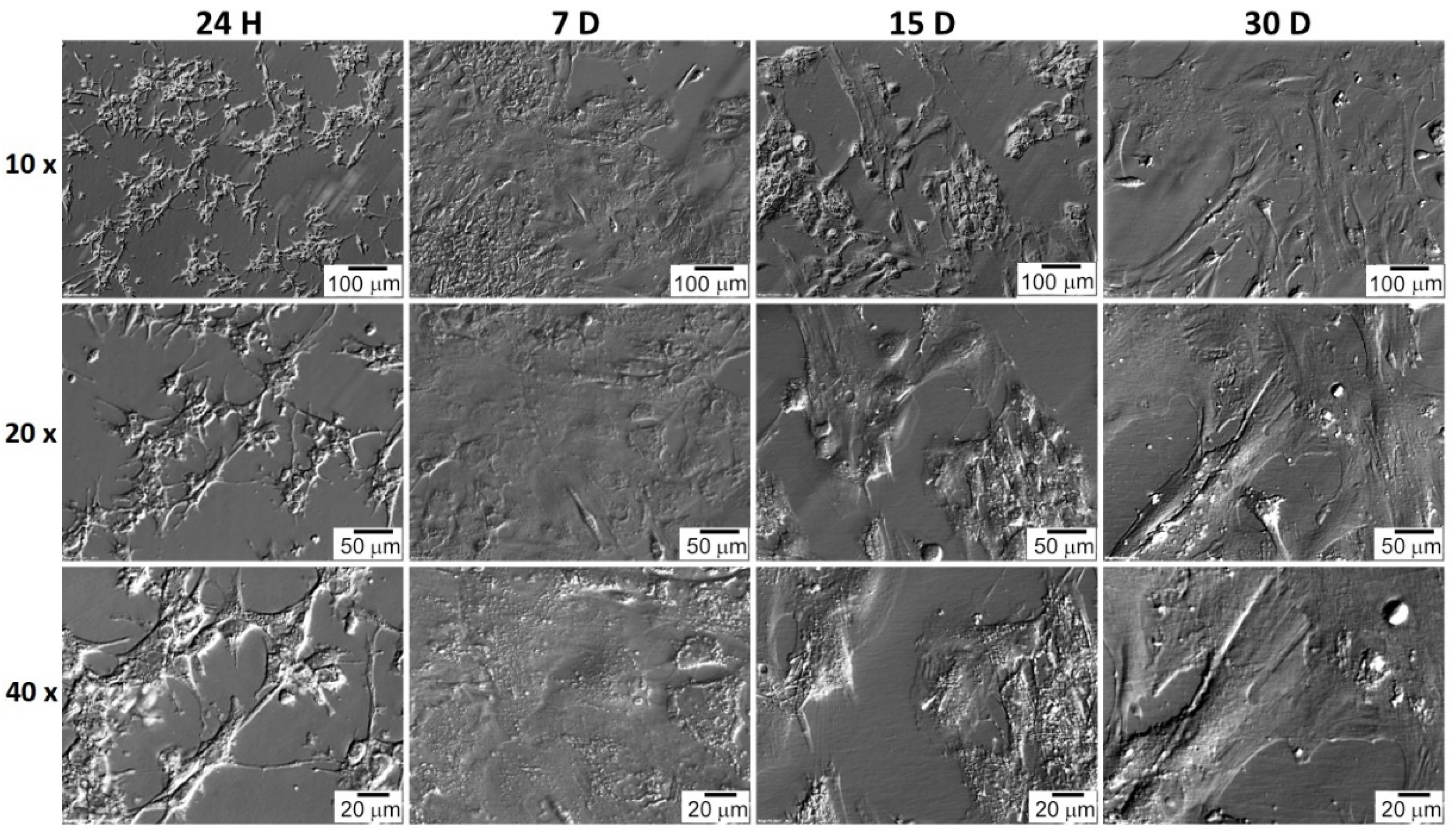 Jcm 11 00073 g008 Jcm 11 00073 g008
