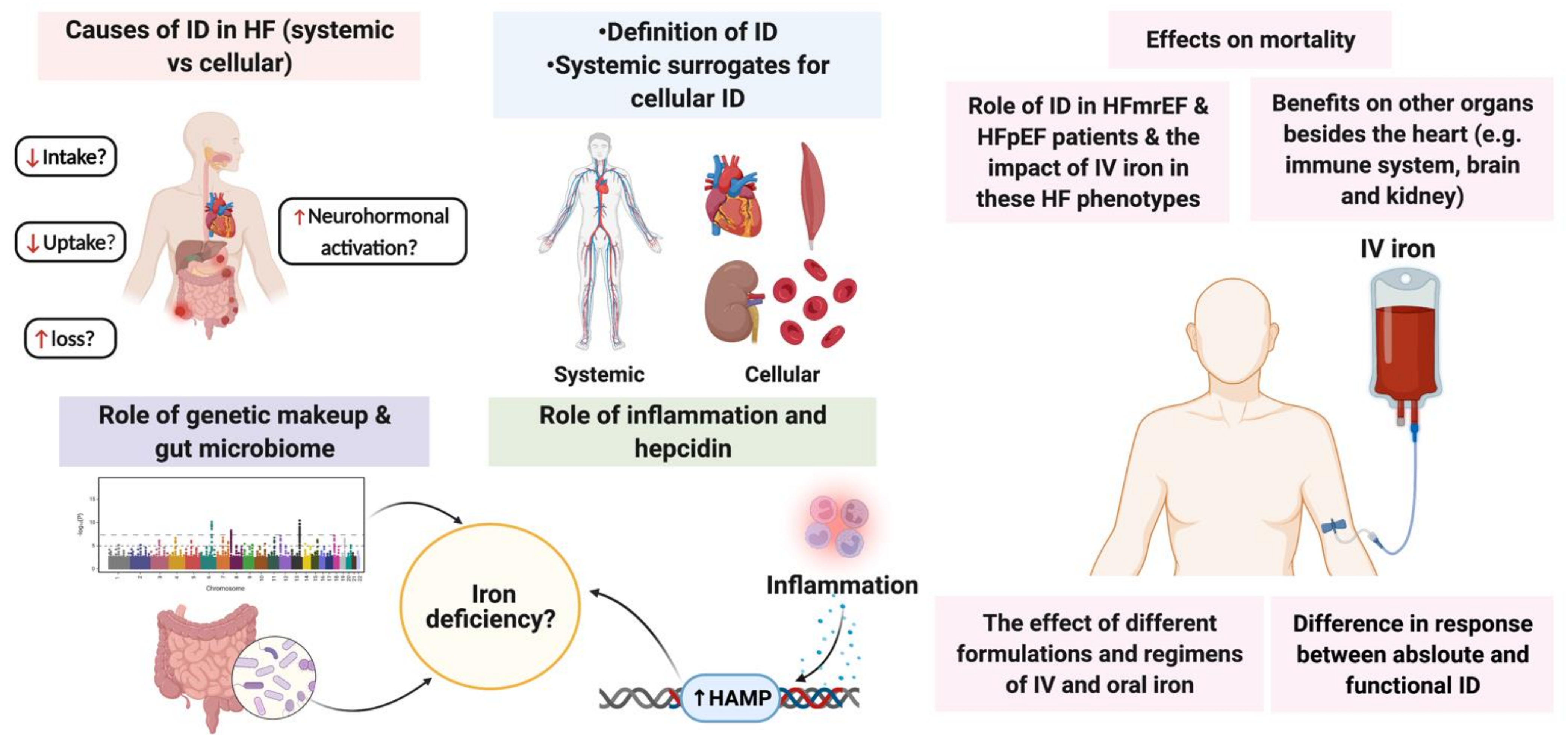 Jcm 11 00125 g004 Jcm 11 00125 g004