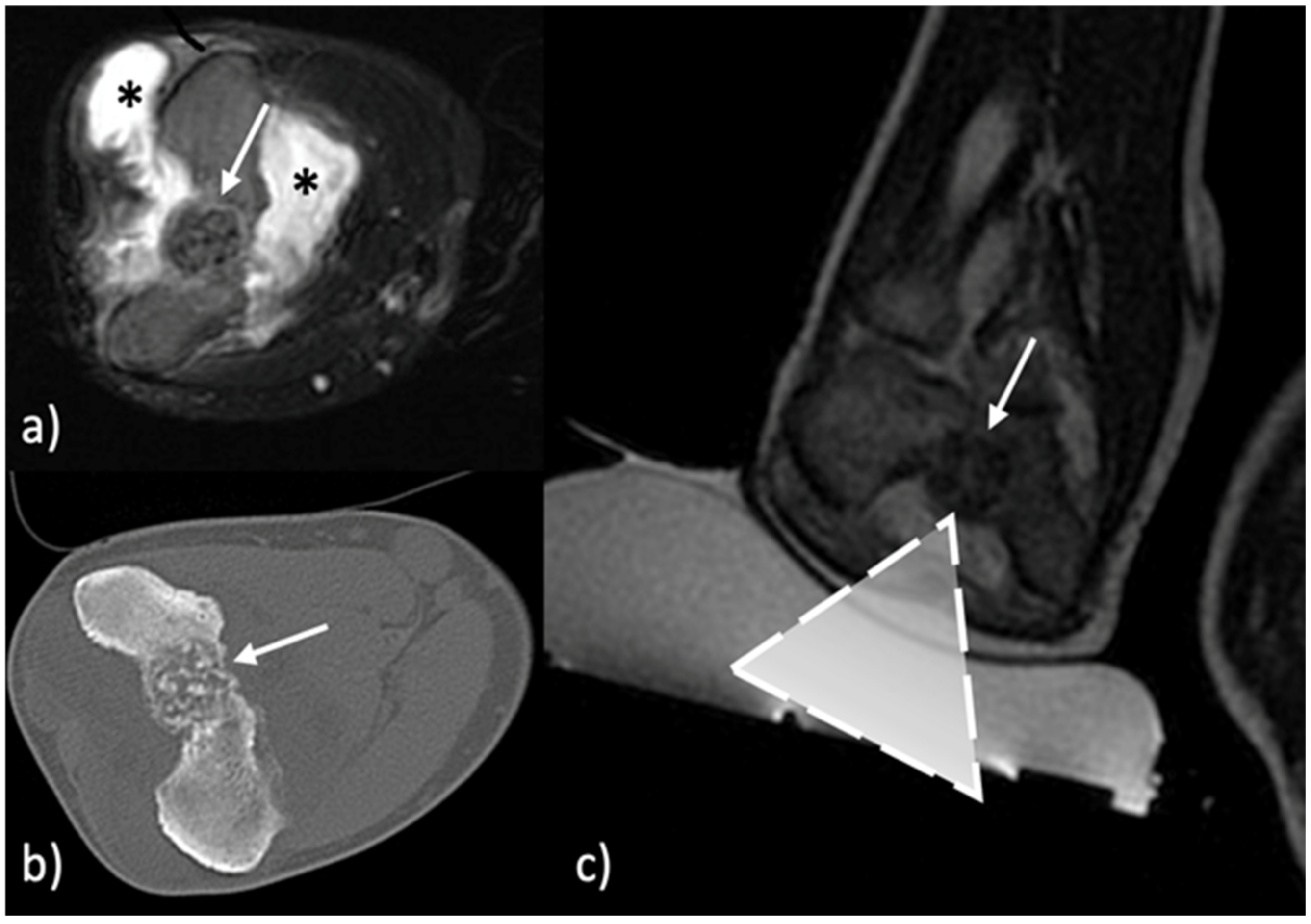 Jcm 11 00128 g002 Jcm 11 00128 g002