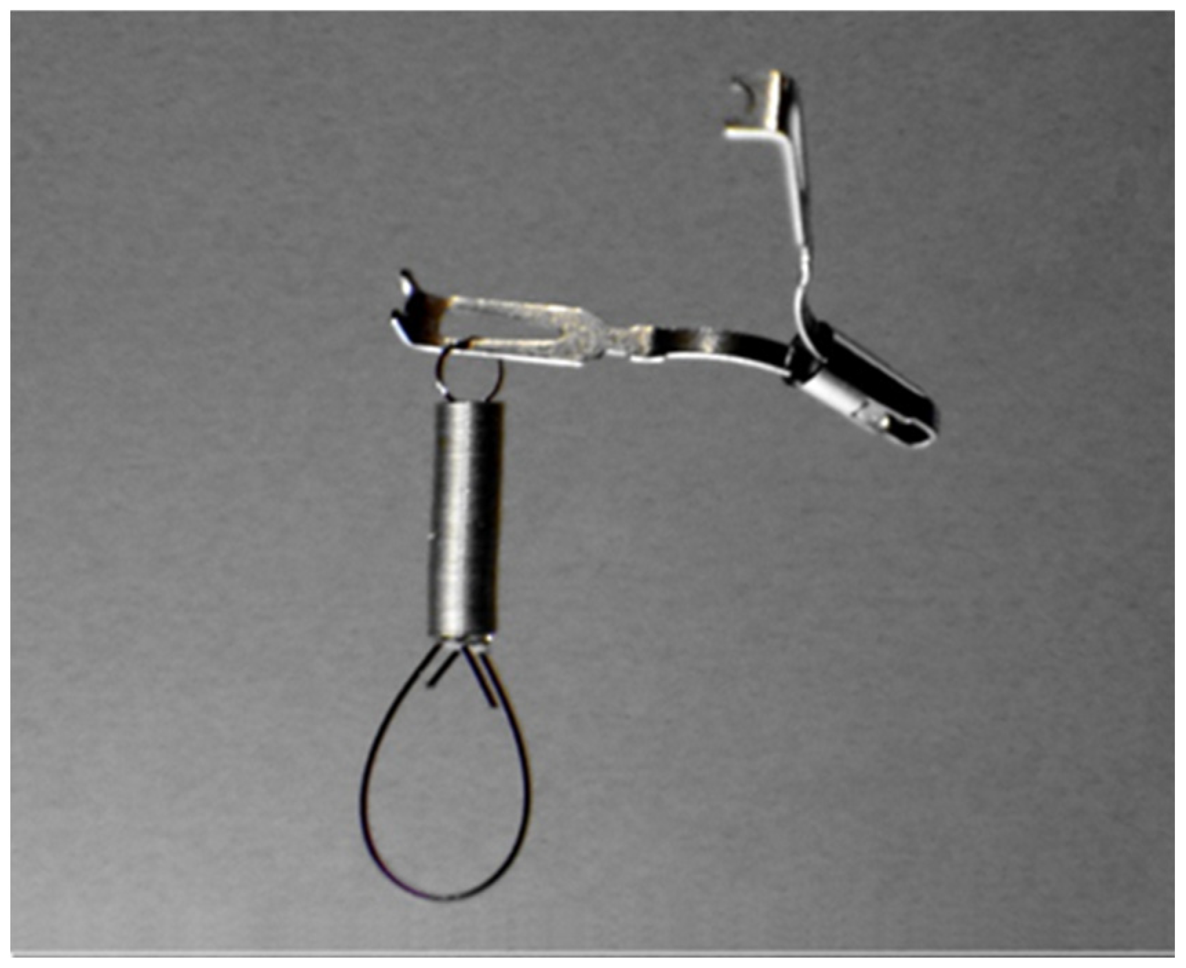 Jcm 11 00141 g001 550