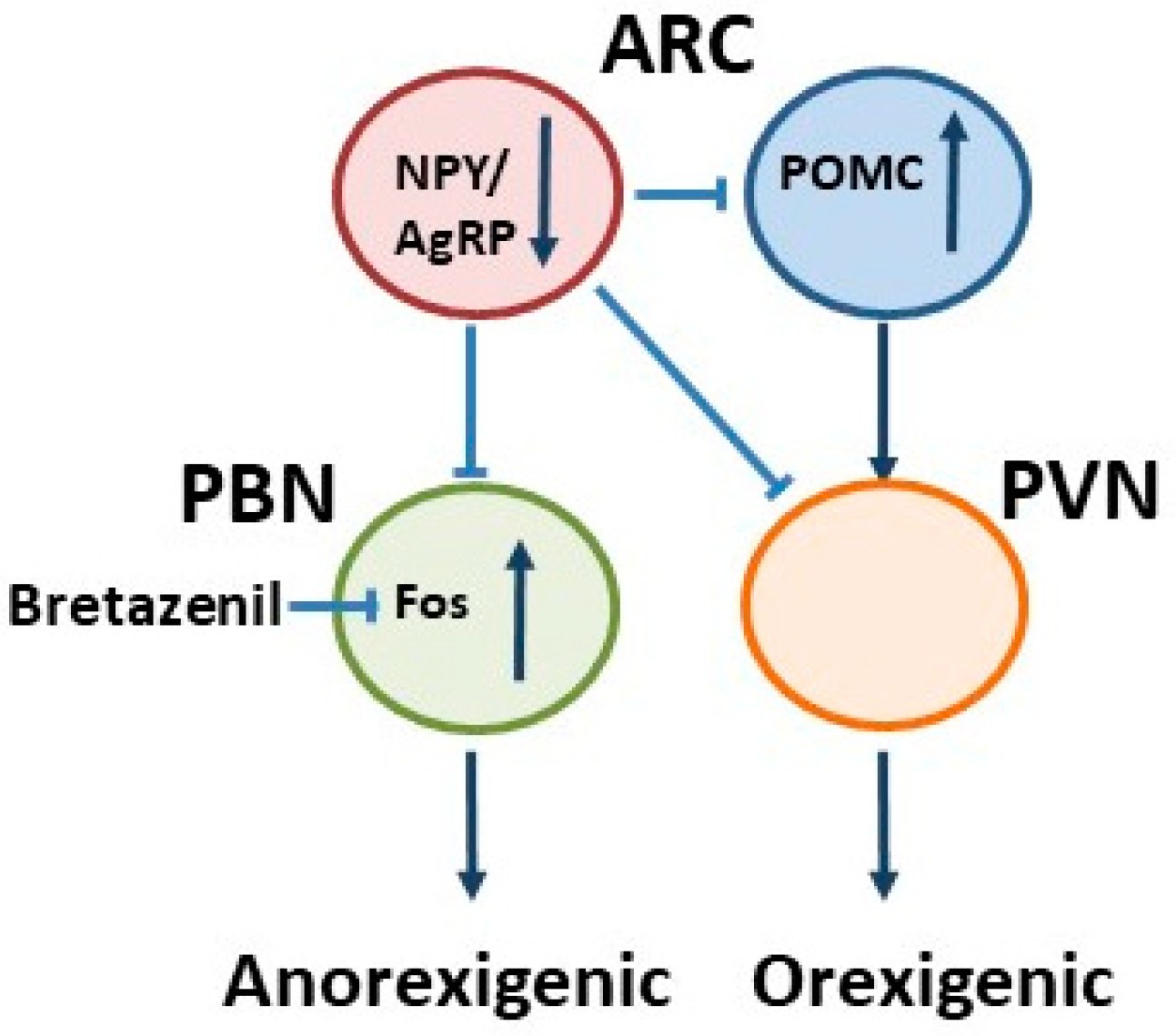 Jcm 11 00186 g002 Jcm 11 00186 g002