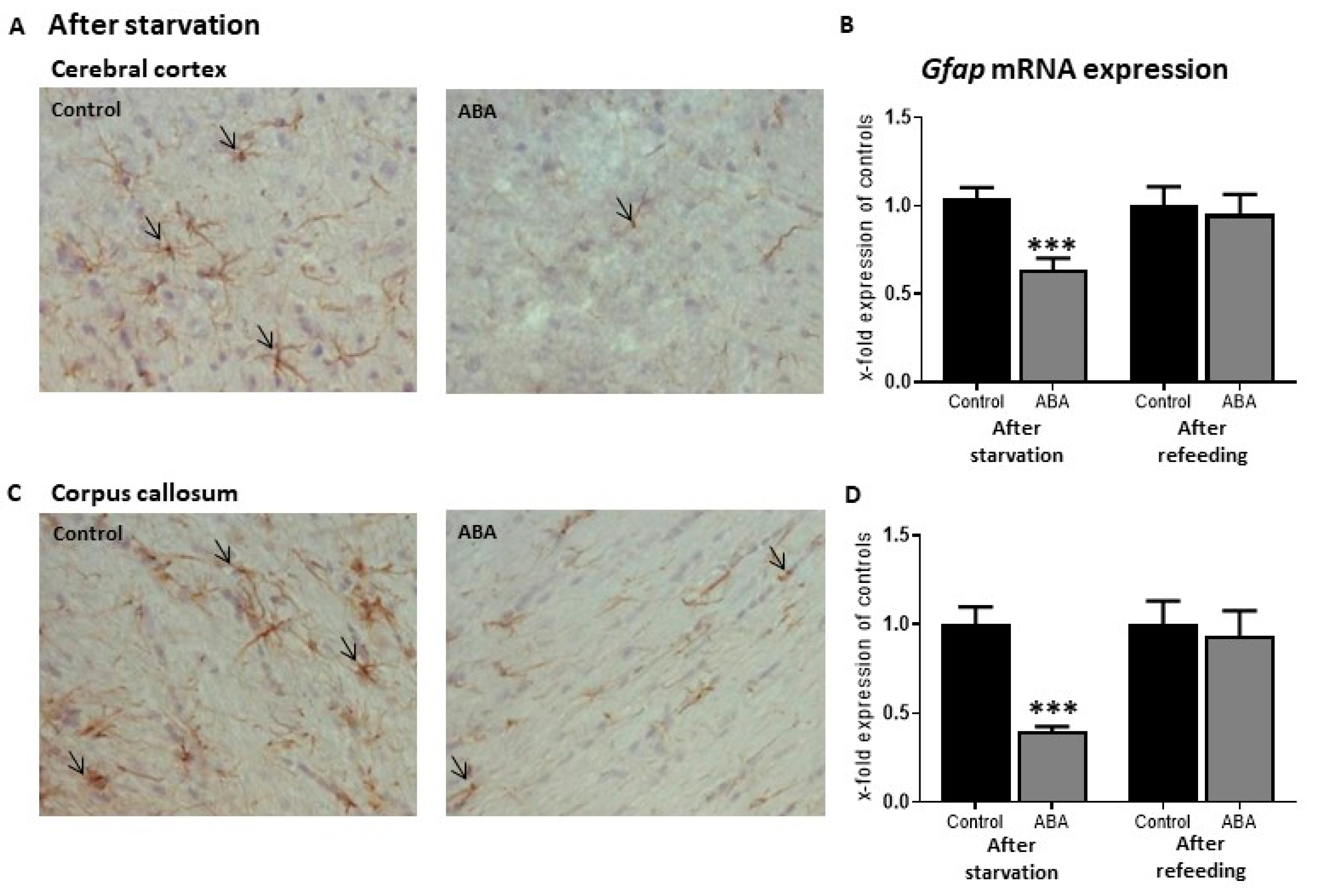 Jcm 11 00186 g004 Jcm 11 00186 g004