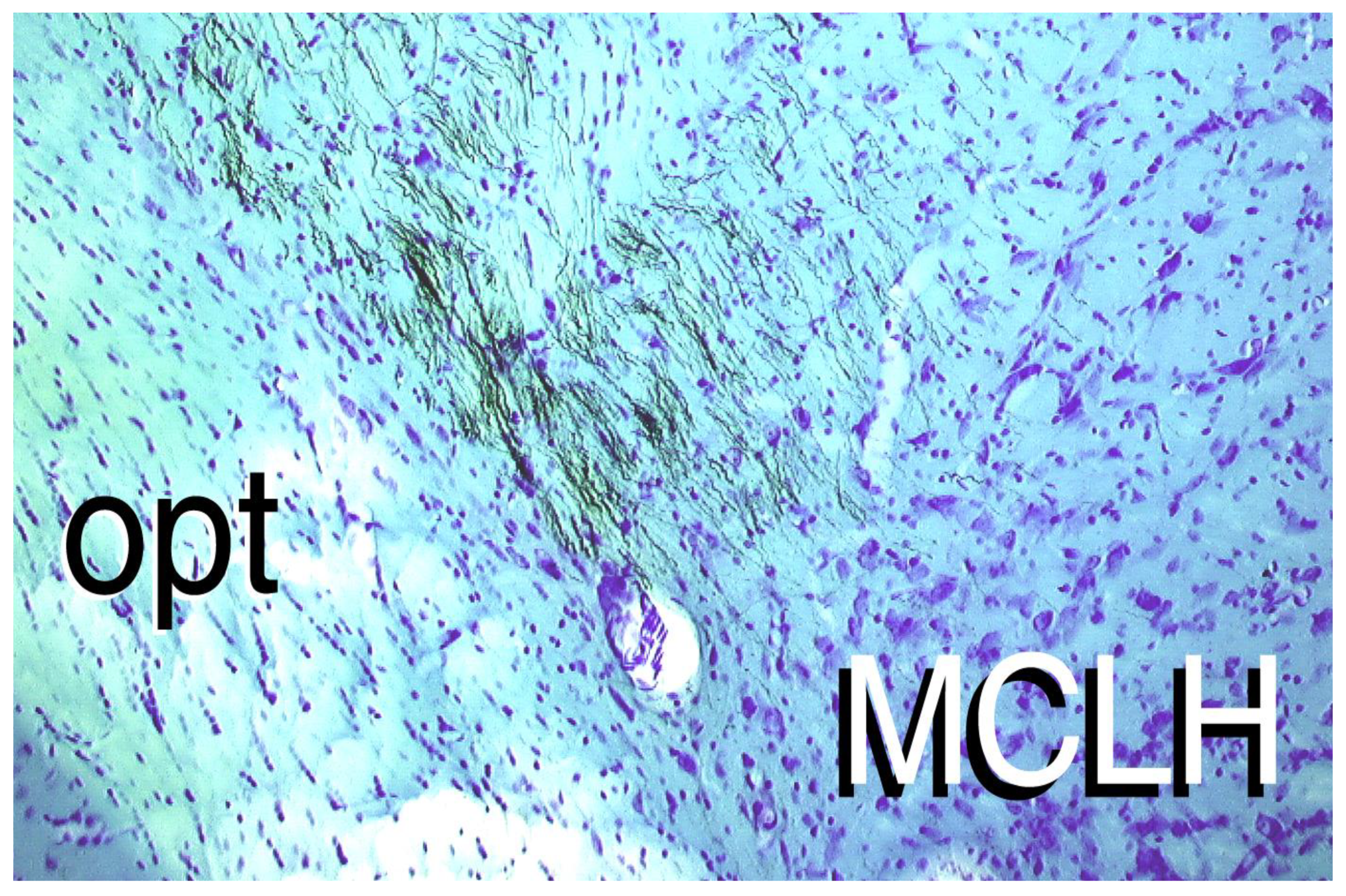 Jcm 11 00191 g005 Jcm 11 00191 g005