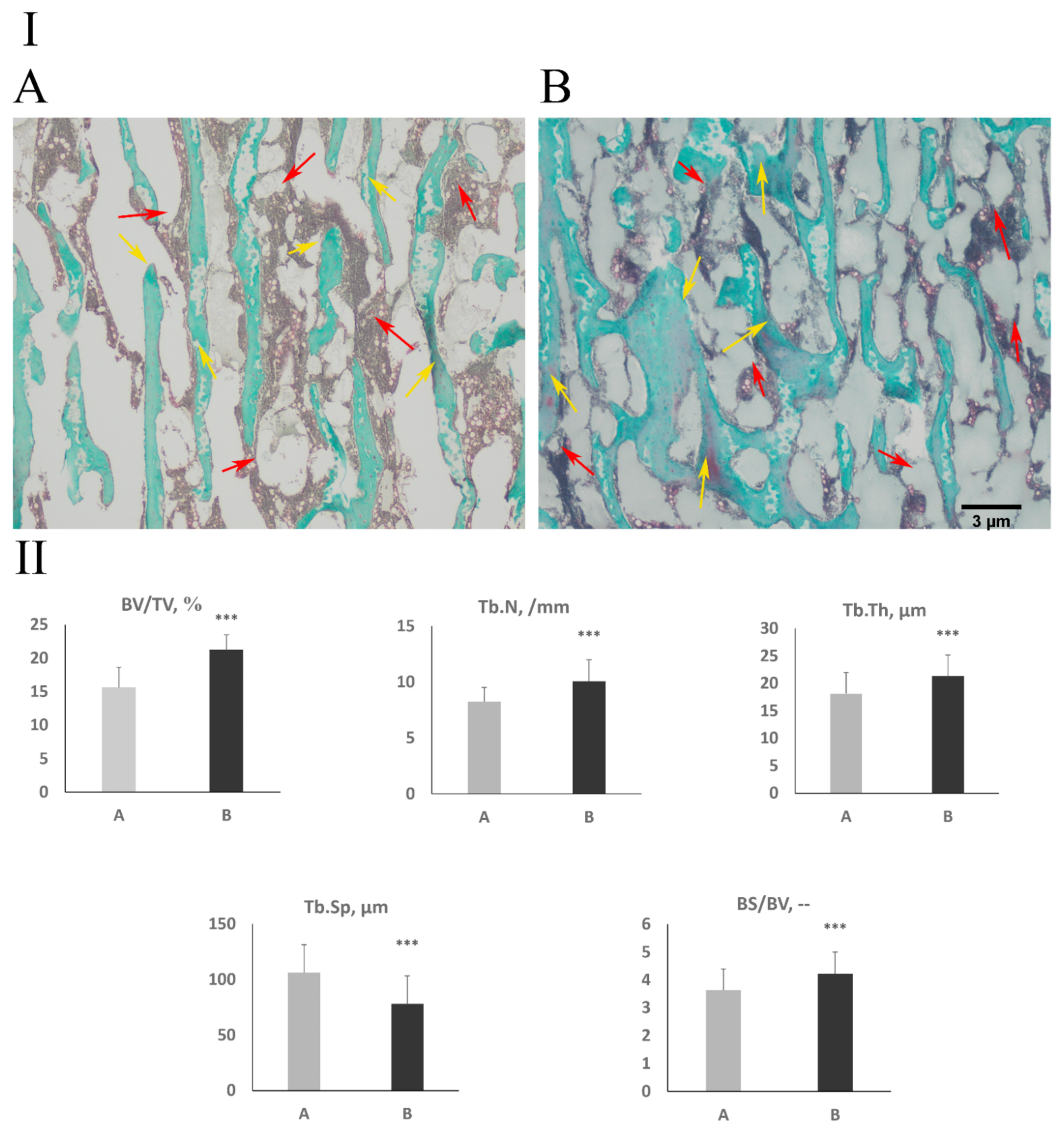 Jcm 11 00205 g002 Jcm 11 00205 g002