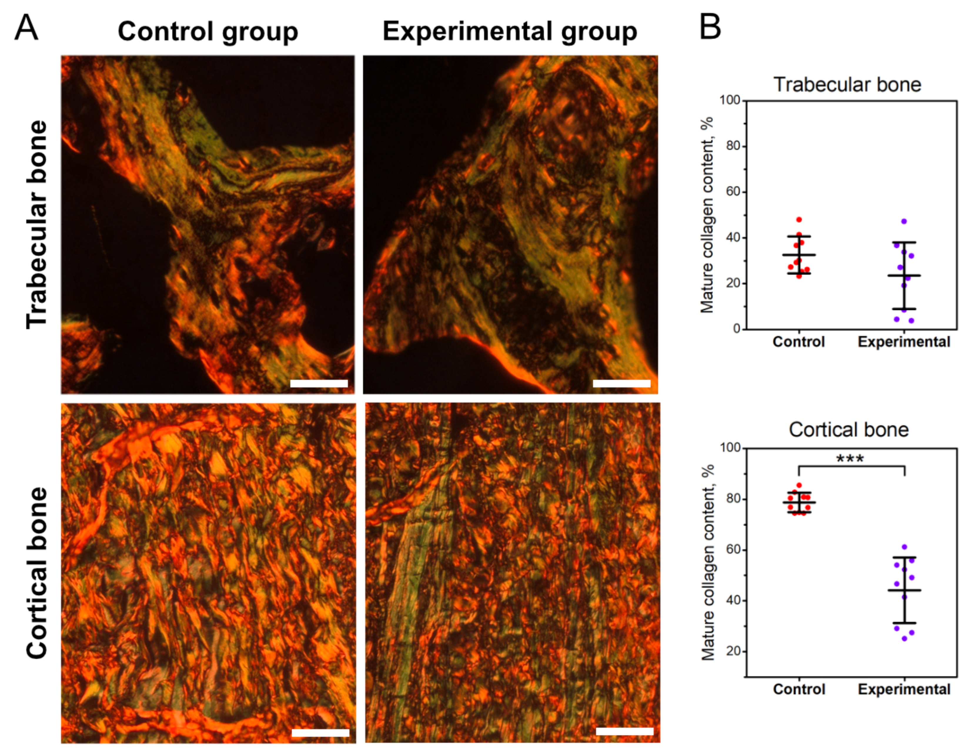 Jcm 11 00205 g003 Jcm 11 00205 g003