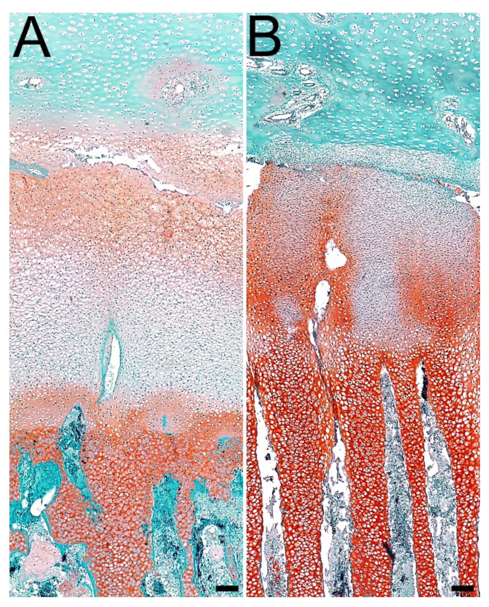 Jcm 11 00205 g004 Jcm 11 00205 g004