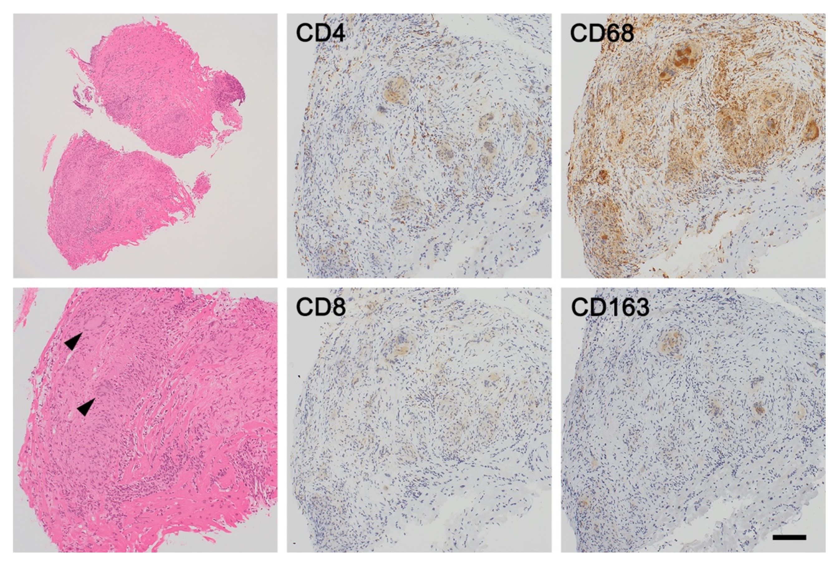 Jcm 11 00251 g003 550