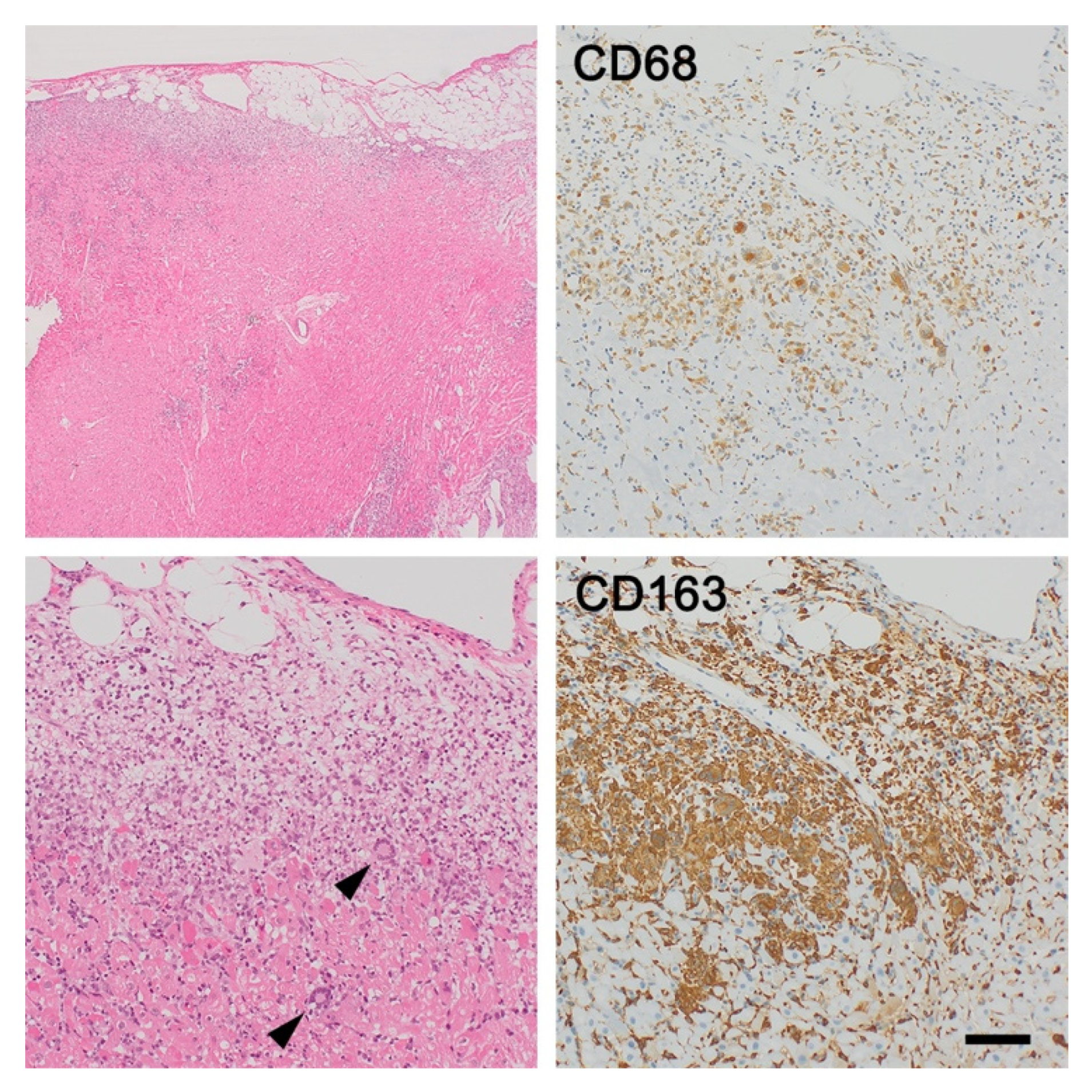 Jcm 11 00251 g005 550