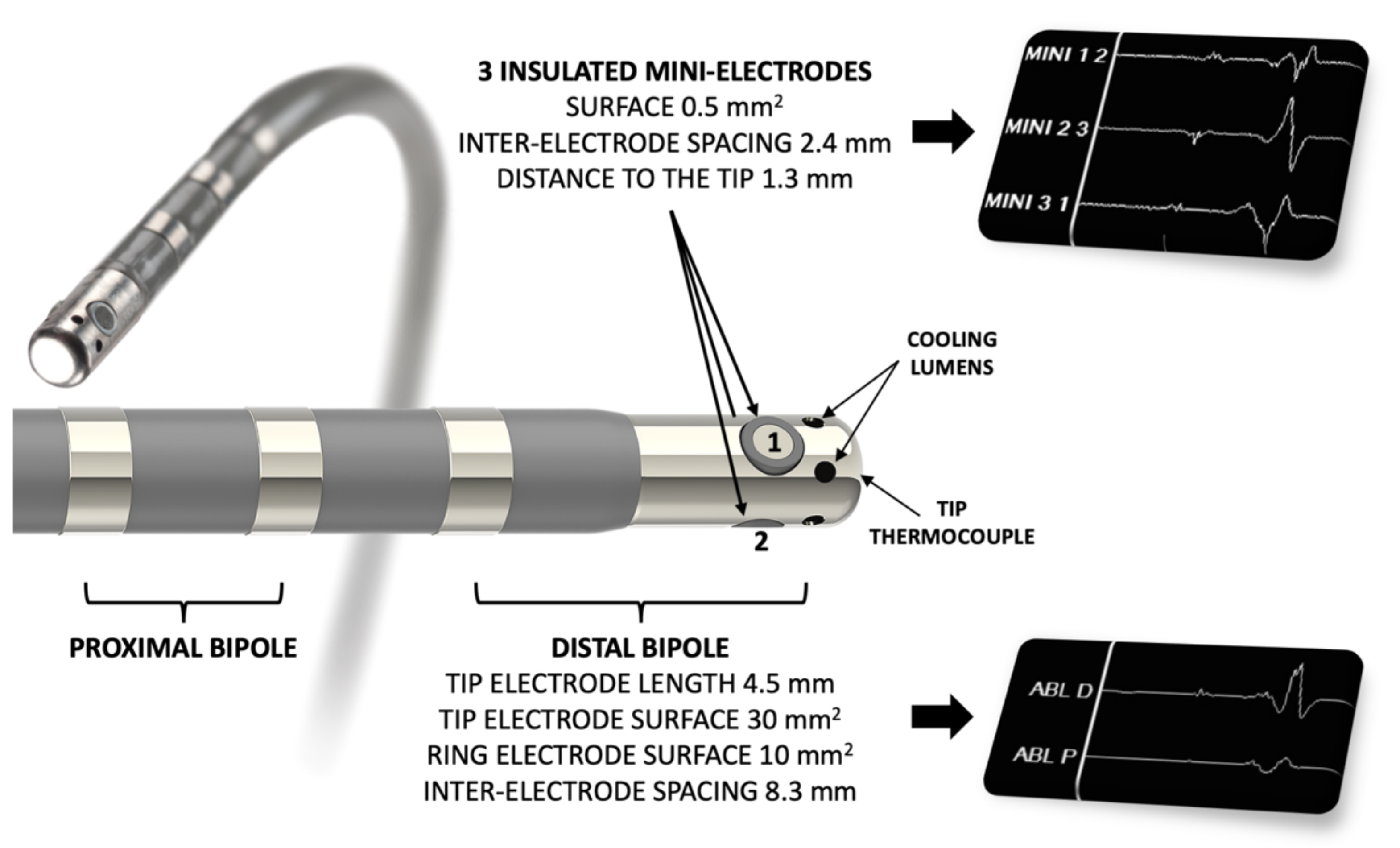Jcm 11 00282 g001 550