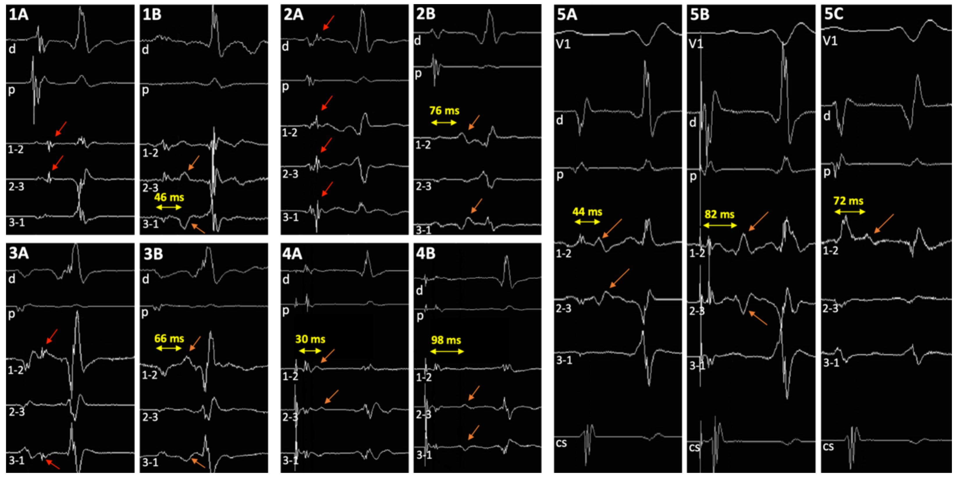 Jcm 11 00282 g002 550