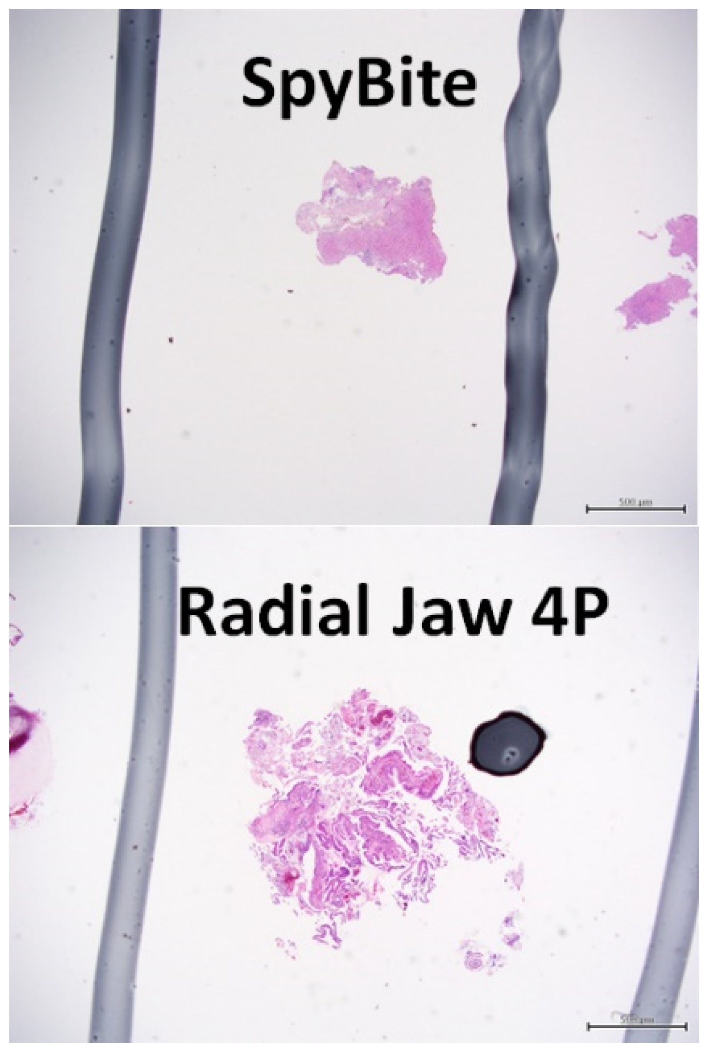 Jcm 11 00289 g004 550