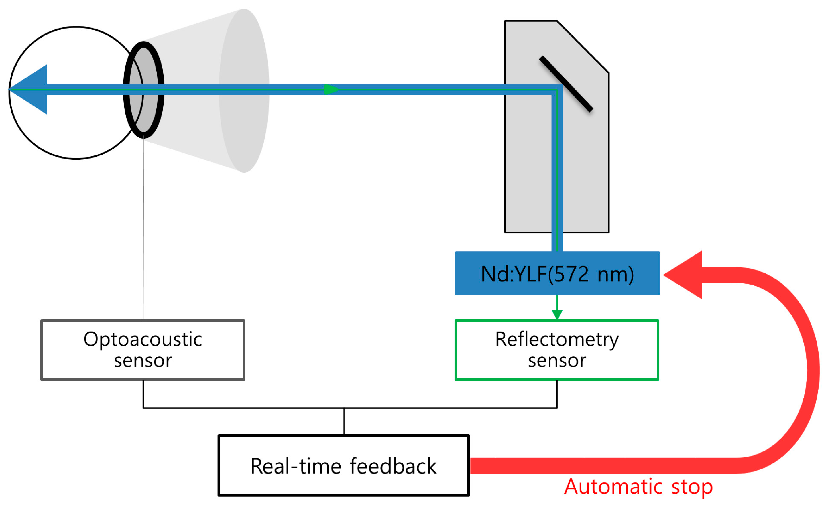 Jcm 11 00323 g002 550