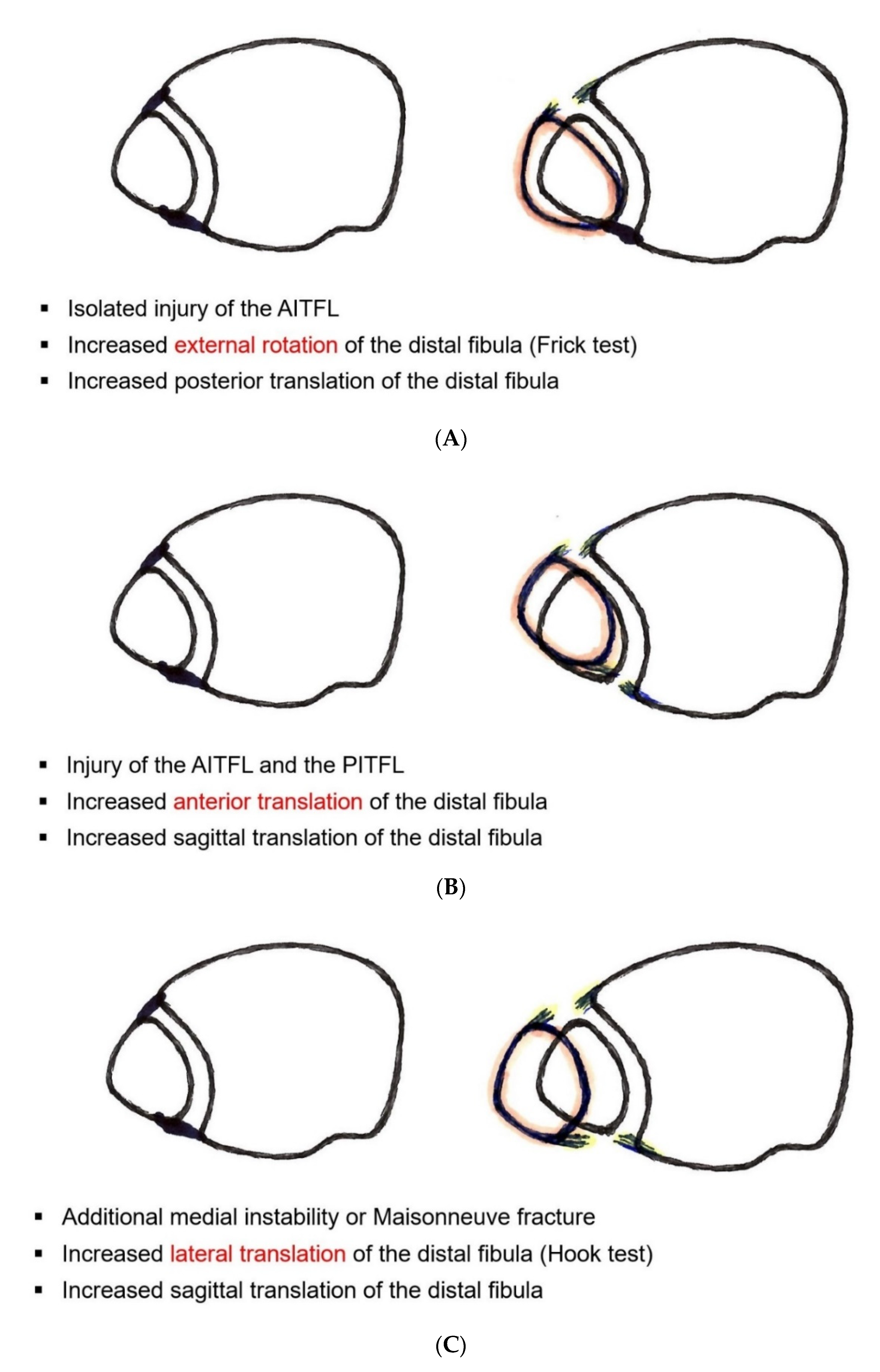 Jcm 11 00331 g002 550