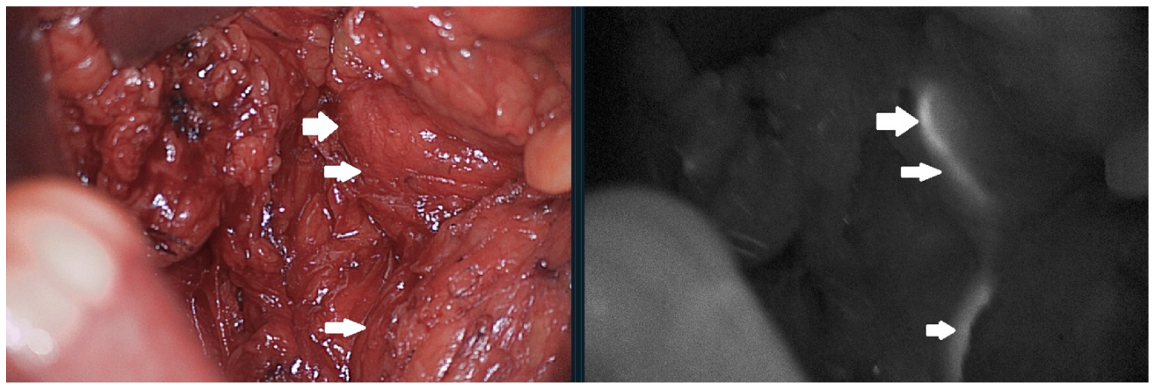 Jcm 11 00368 g001 550