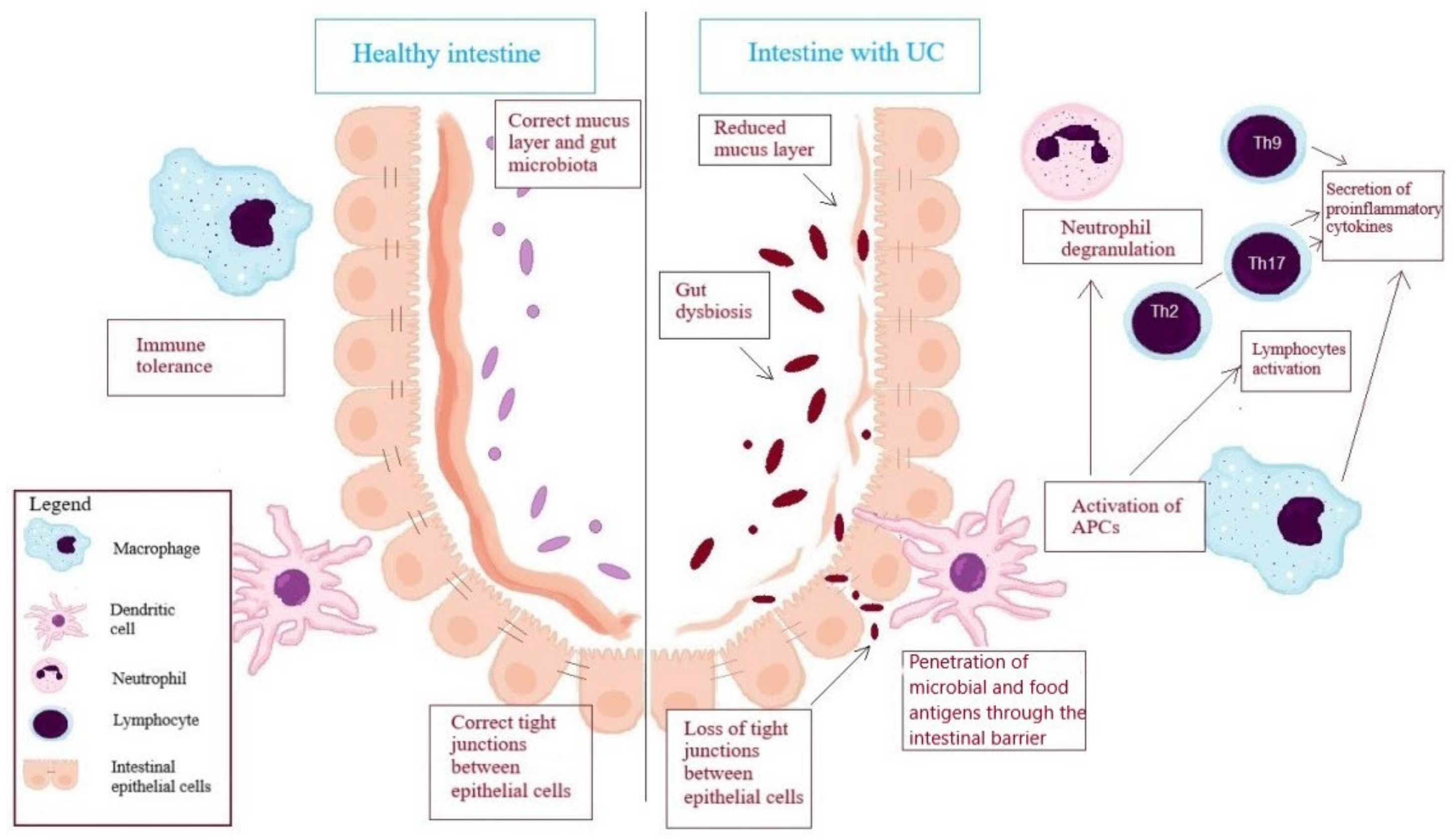 Pathogenesis, immunology, and immune‐targeted management of the