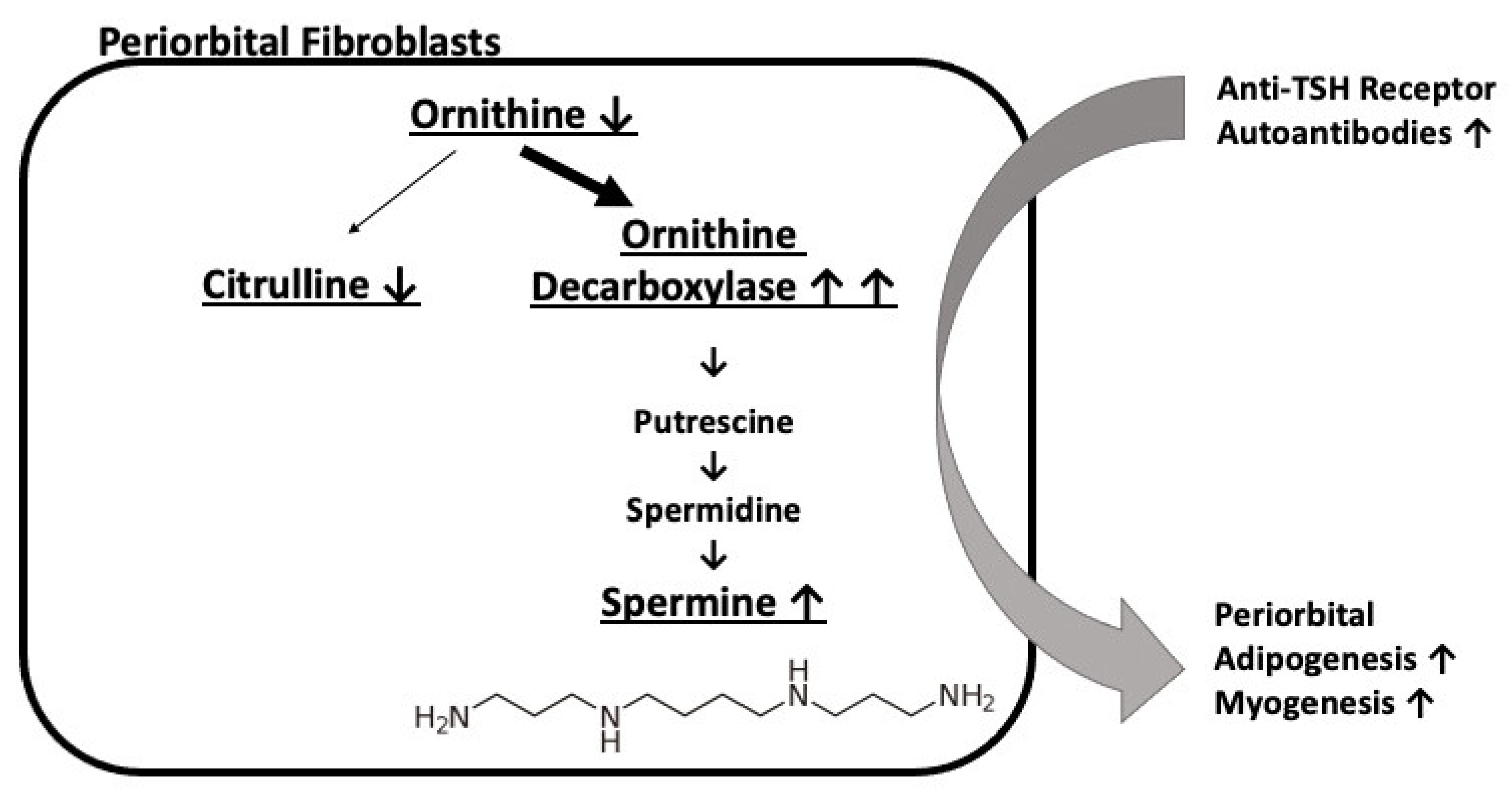Jcm 11 00404 g001 Jcm 11 00404 g001