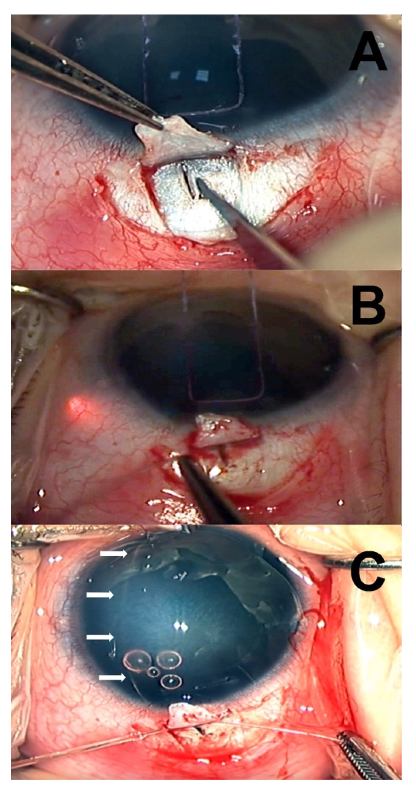 Jcm 11 00414 g001 550