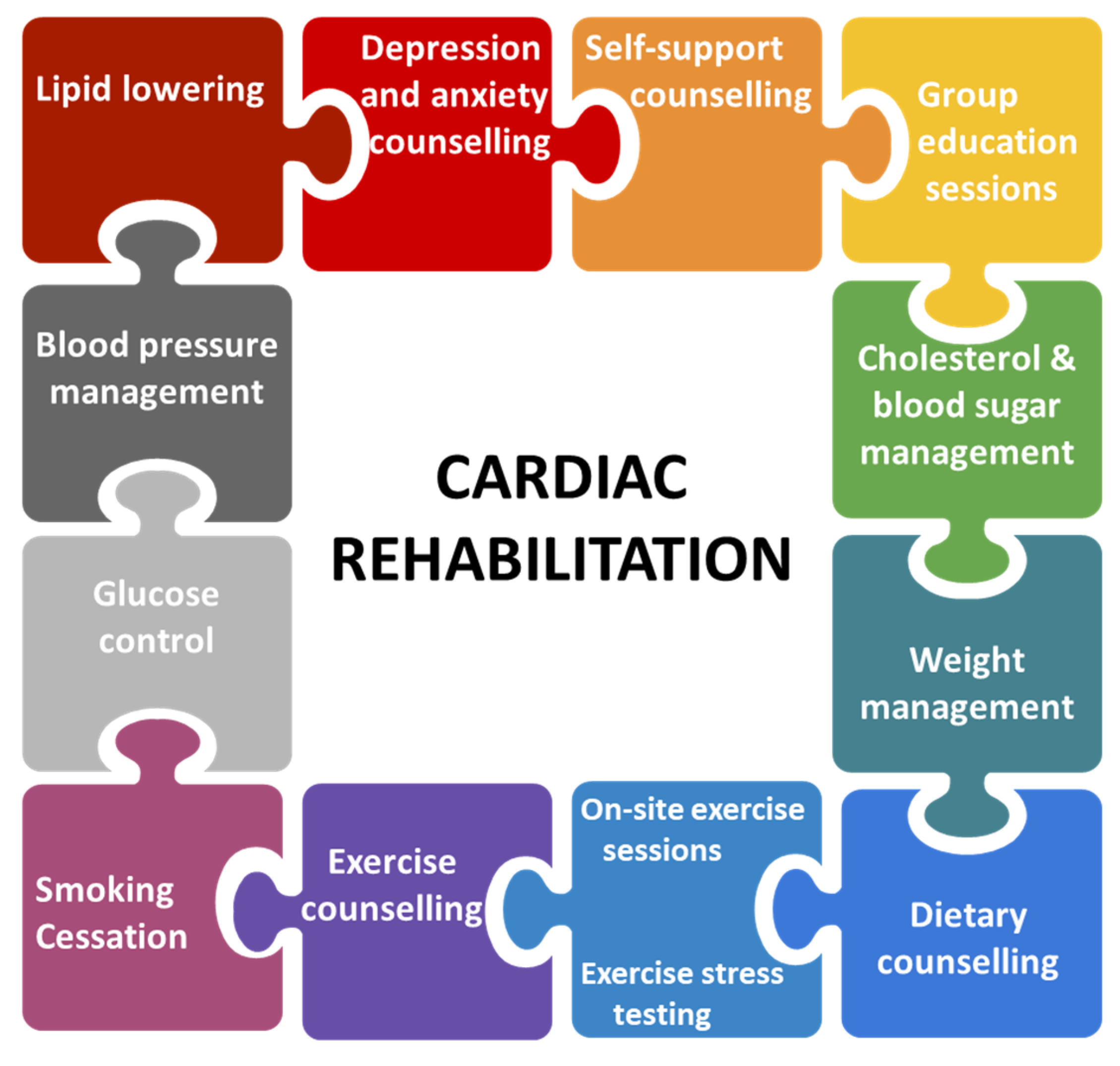 literature review of cardiac rehabilitation