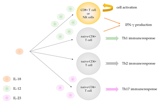 The Role of Interleukin 18/Interleukin 18-Binding Protein in Adult ...