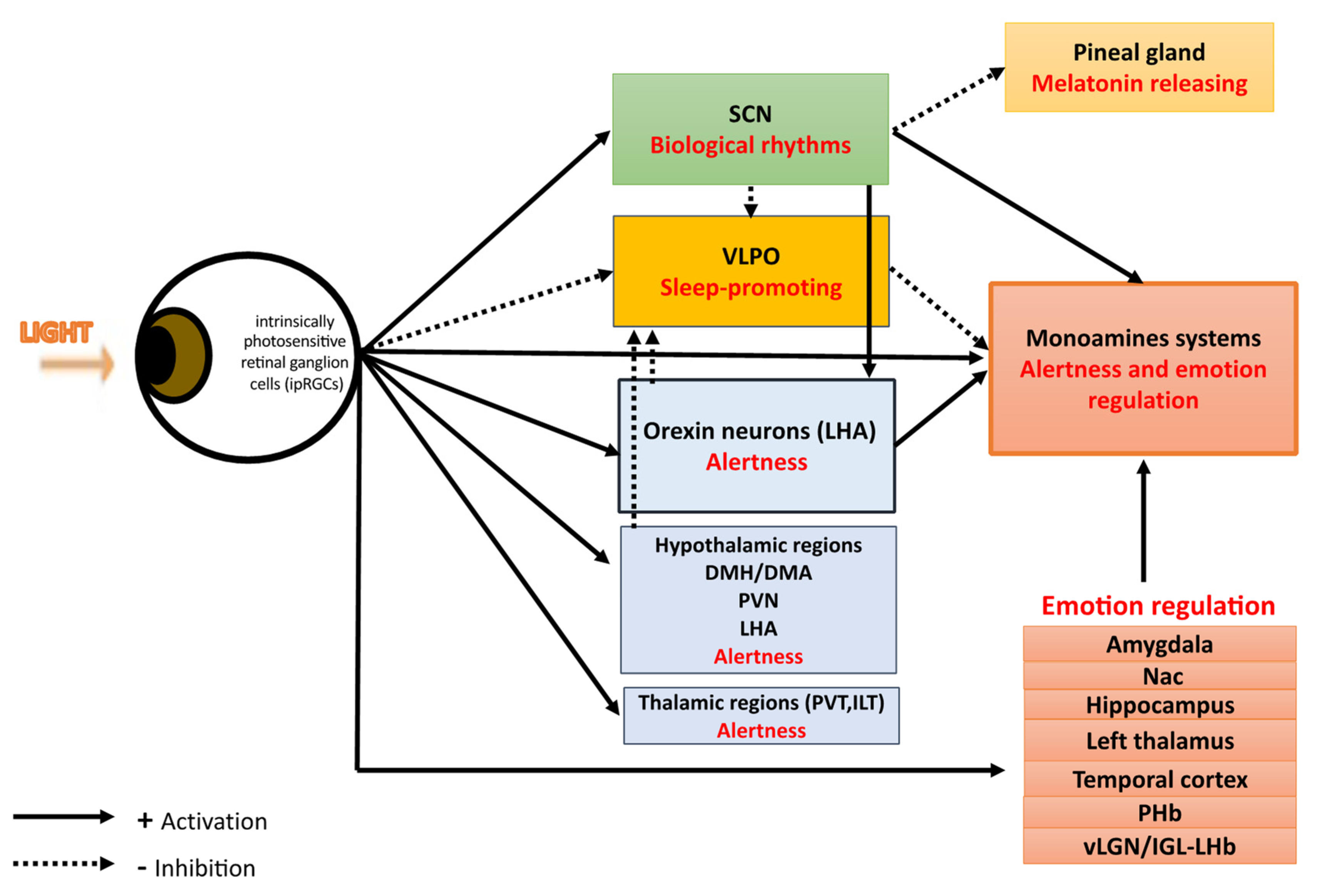 Jcm 11 00448 g002 550