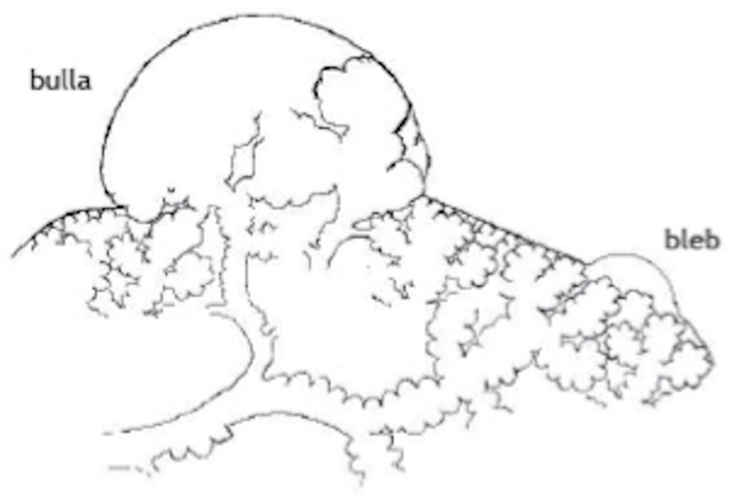 Jcm 11 00490 g002 Jcm 11 00490 g002