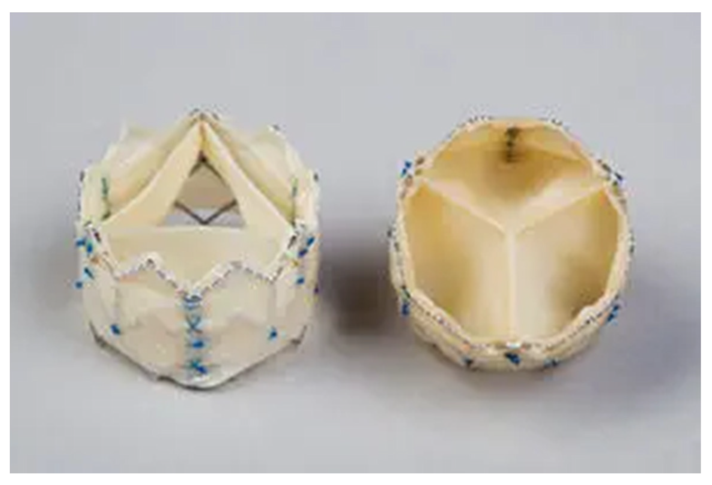 Jcm 11 00499 g002 Jcm 11 00499 g002