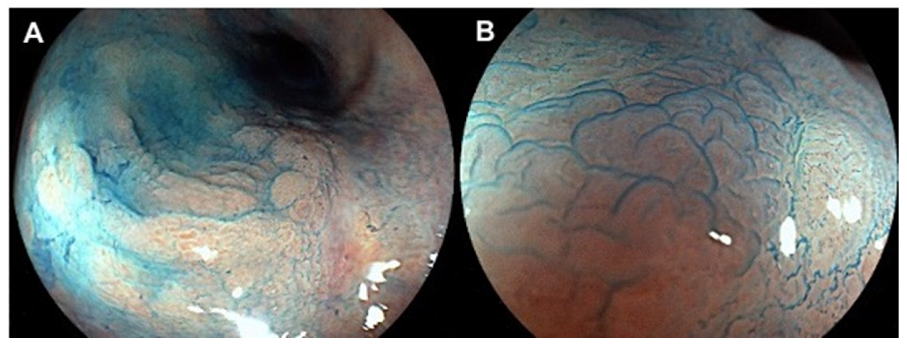 Jcm 11 00509 g001 Jcm 11 00509 g001