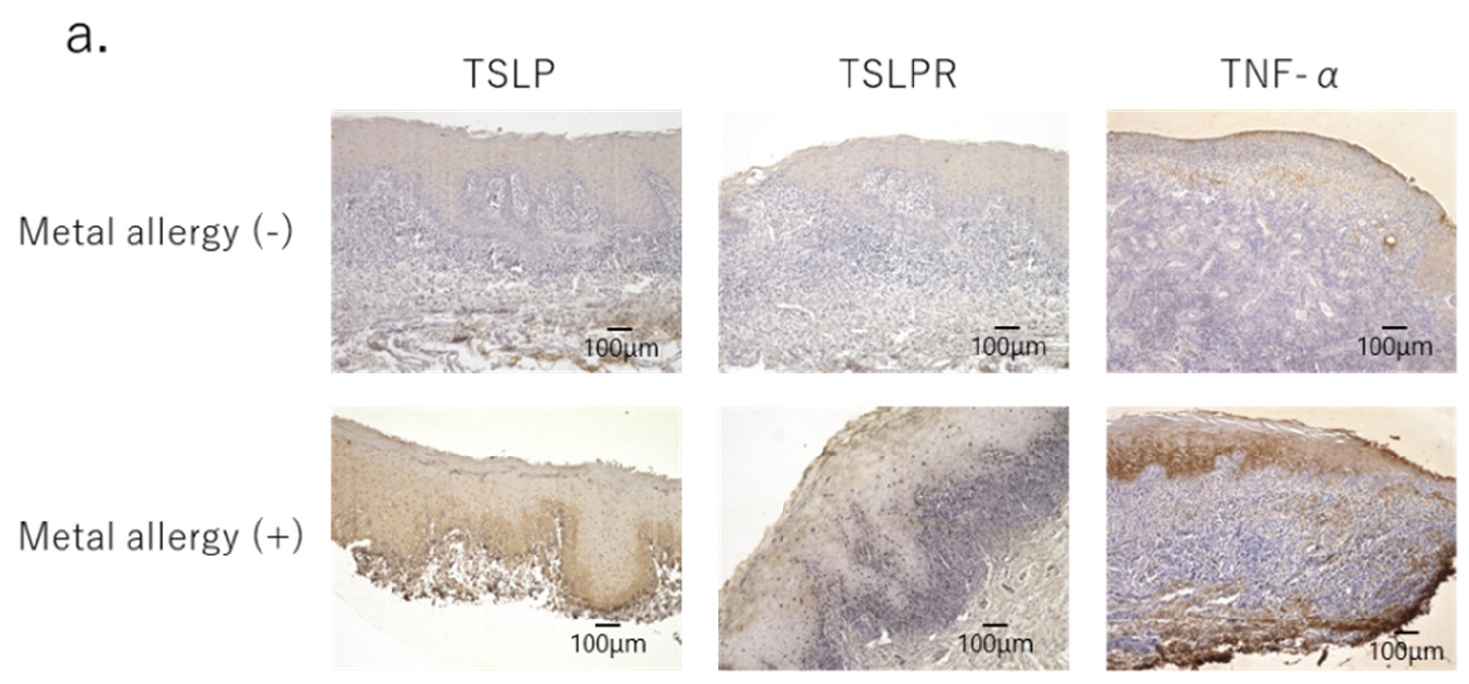 Jcm 11 00519 g003a Jcm 11 00519 g003a