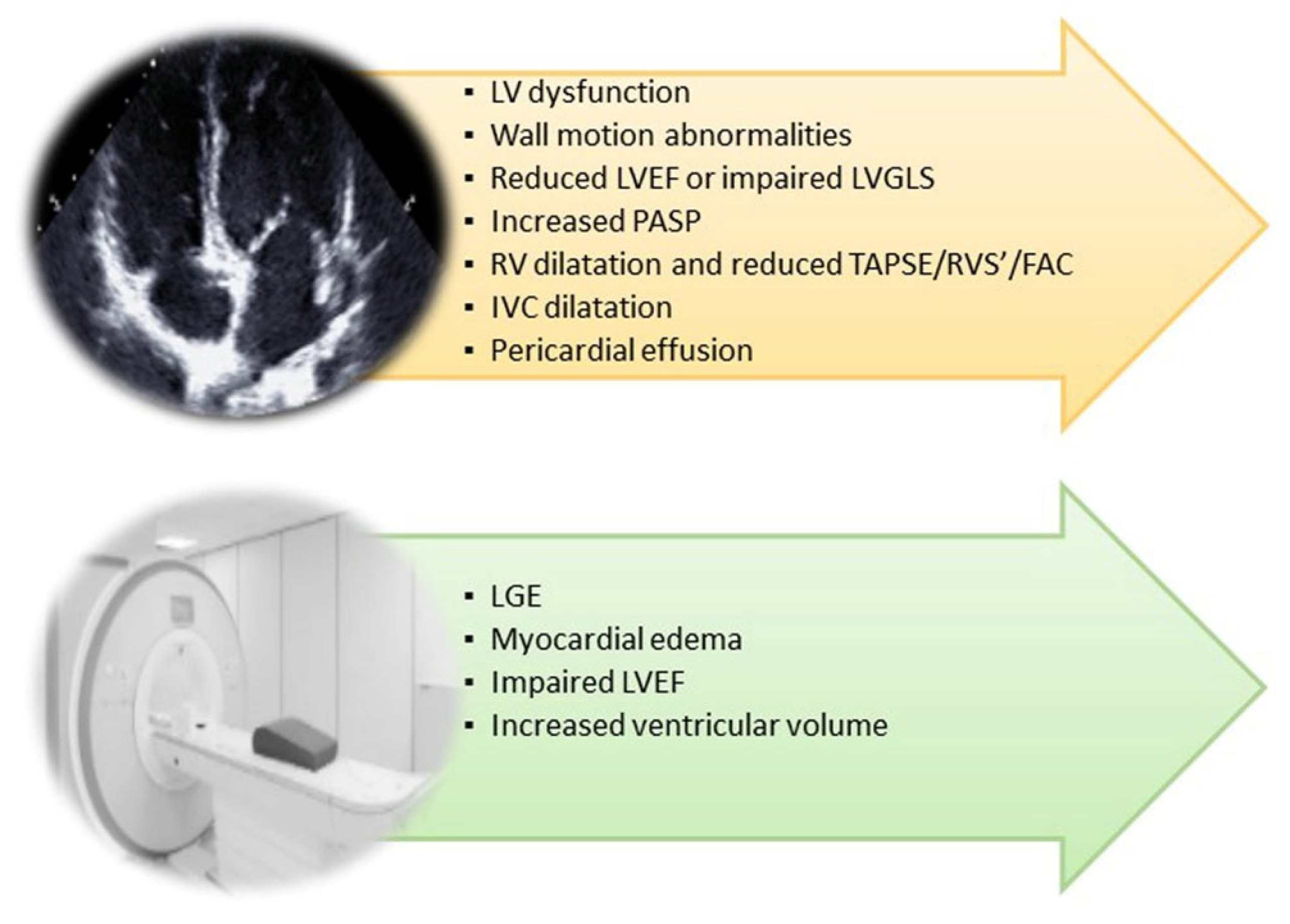 Jcm 11 00524 g002 Jcm 11 00524 g002
