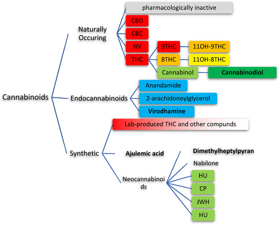 Considerations for Cannabinoids in Perioperative Care by