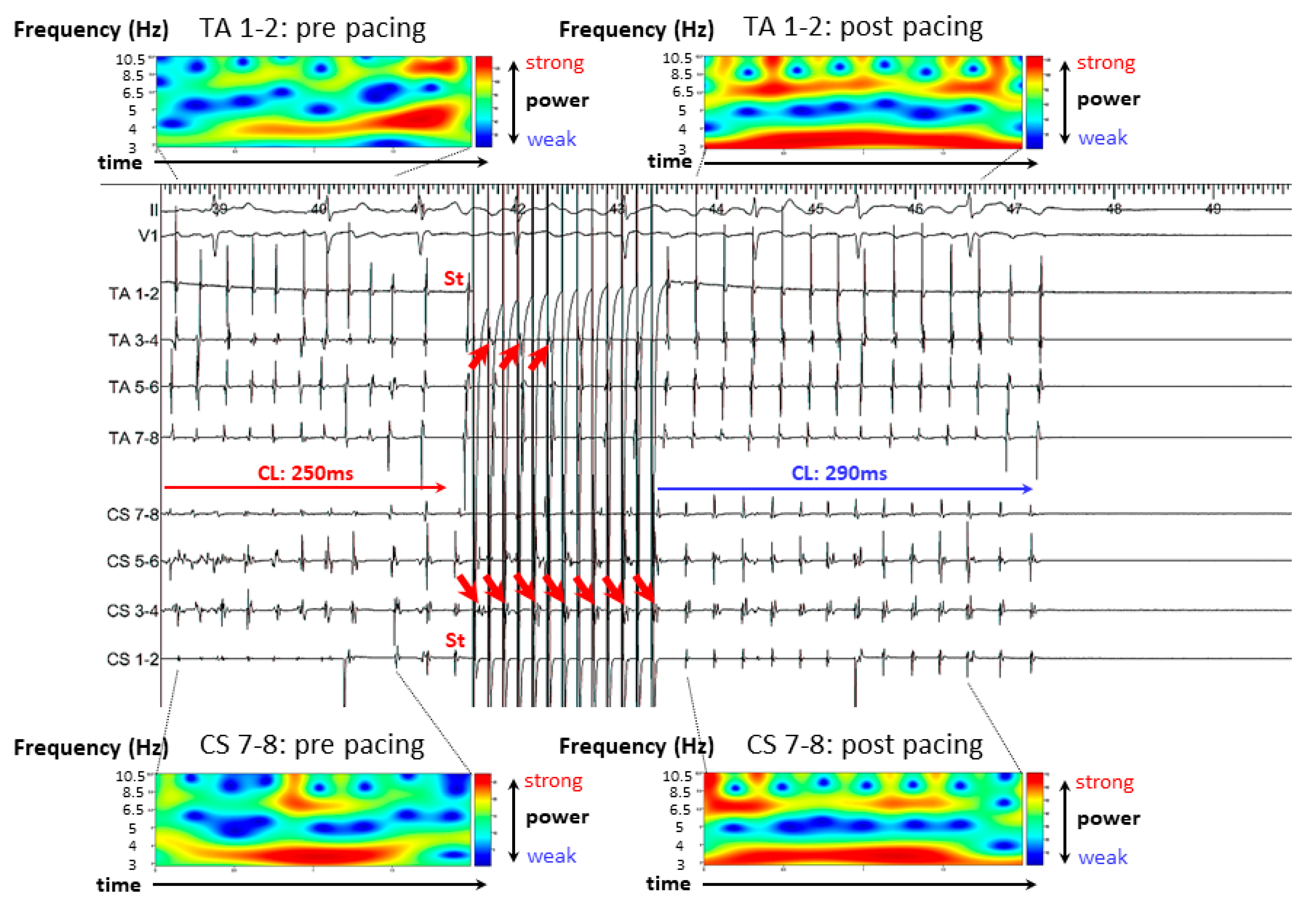 Jcm 11 00575 g003 550