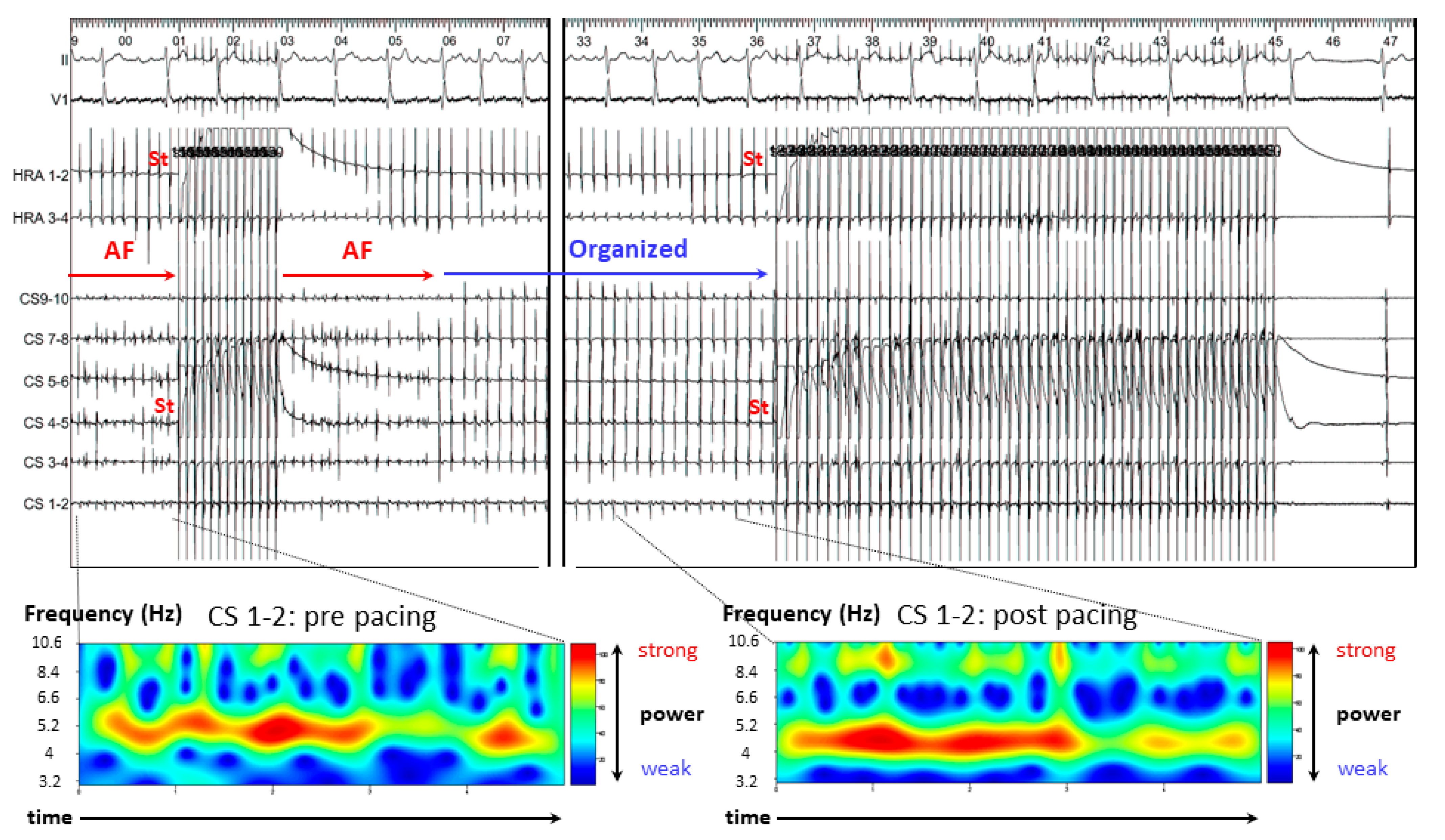 Jcm 11 00575 g004 550