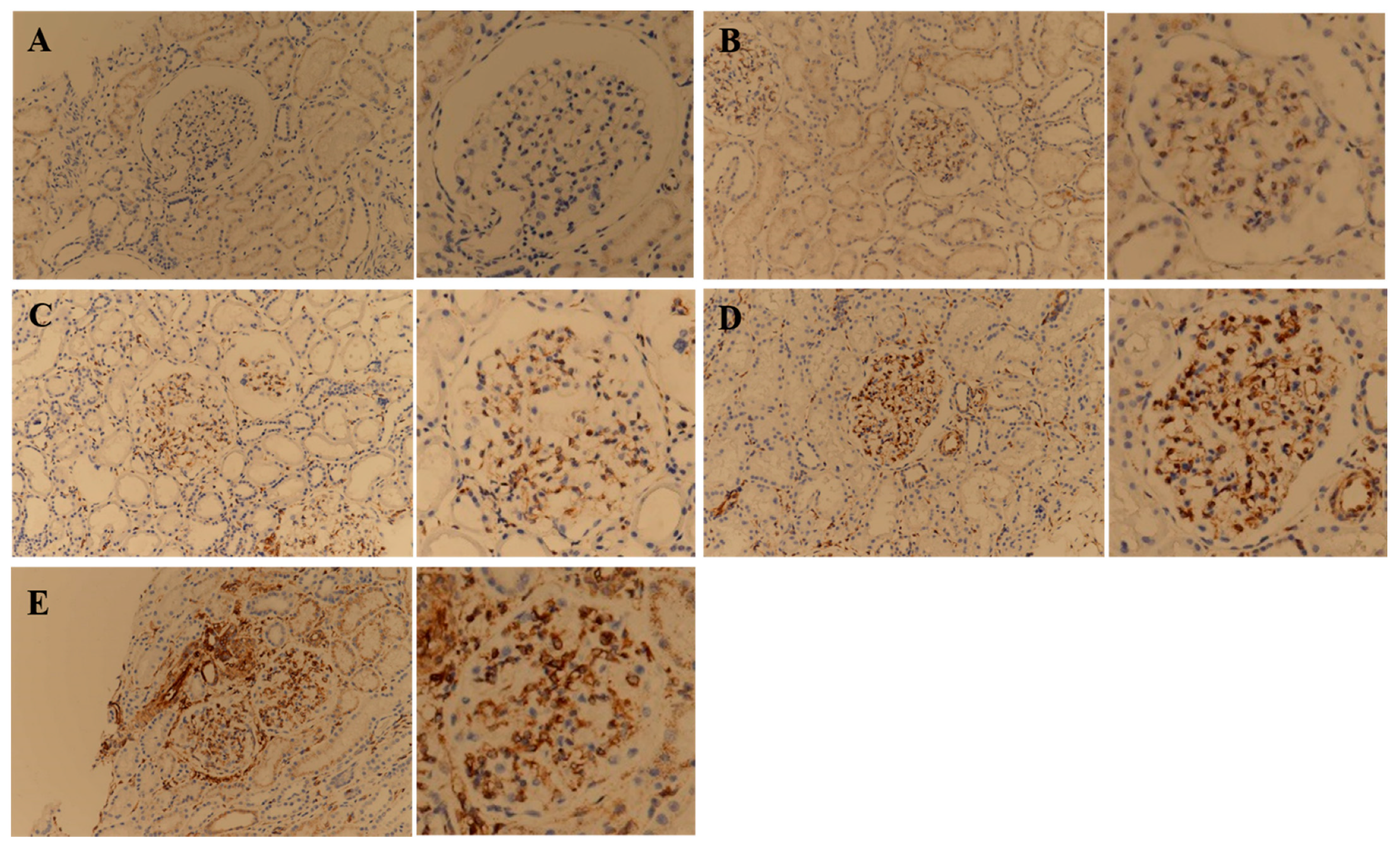 Jcm 11 00577 g003 550