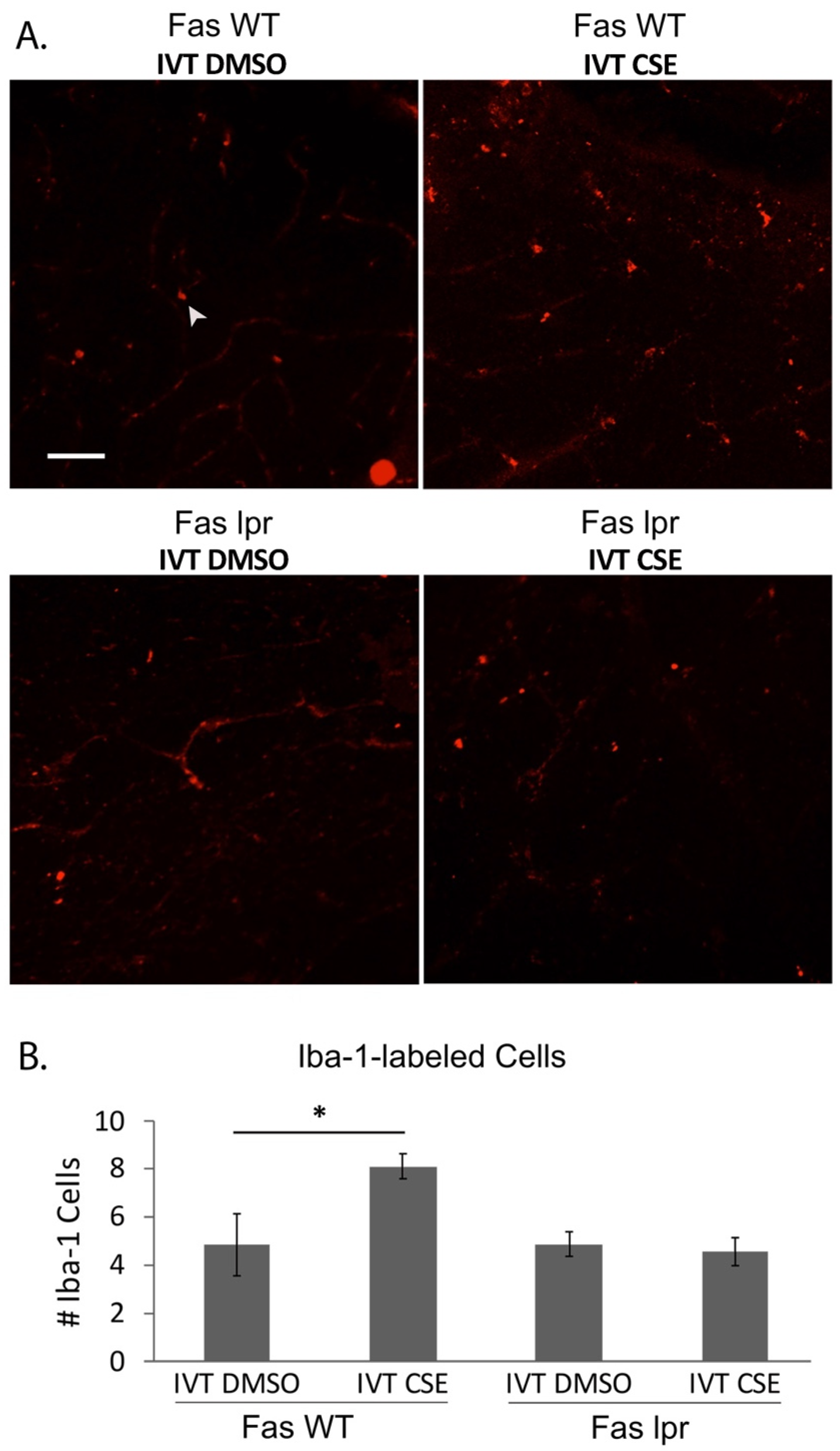 Jcm 11 00592 g005 Jcm 11 00592 g005