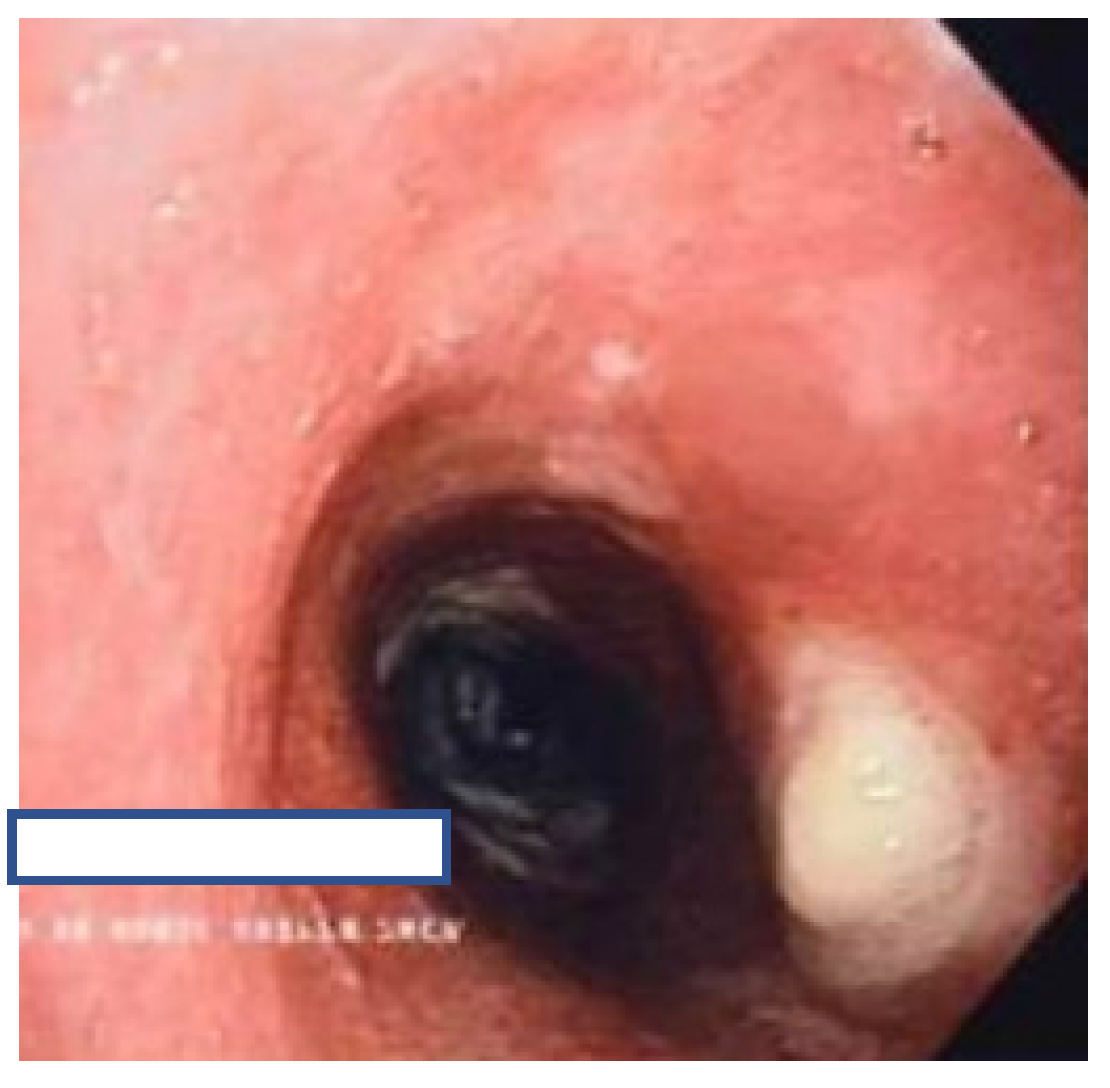 Jcm 11 00676 g001 Jcm 11 00676 g001