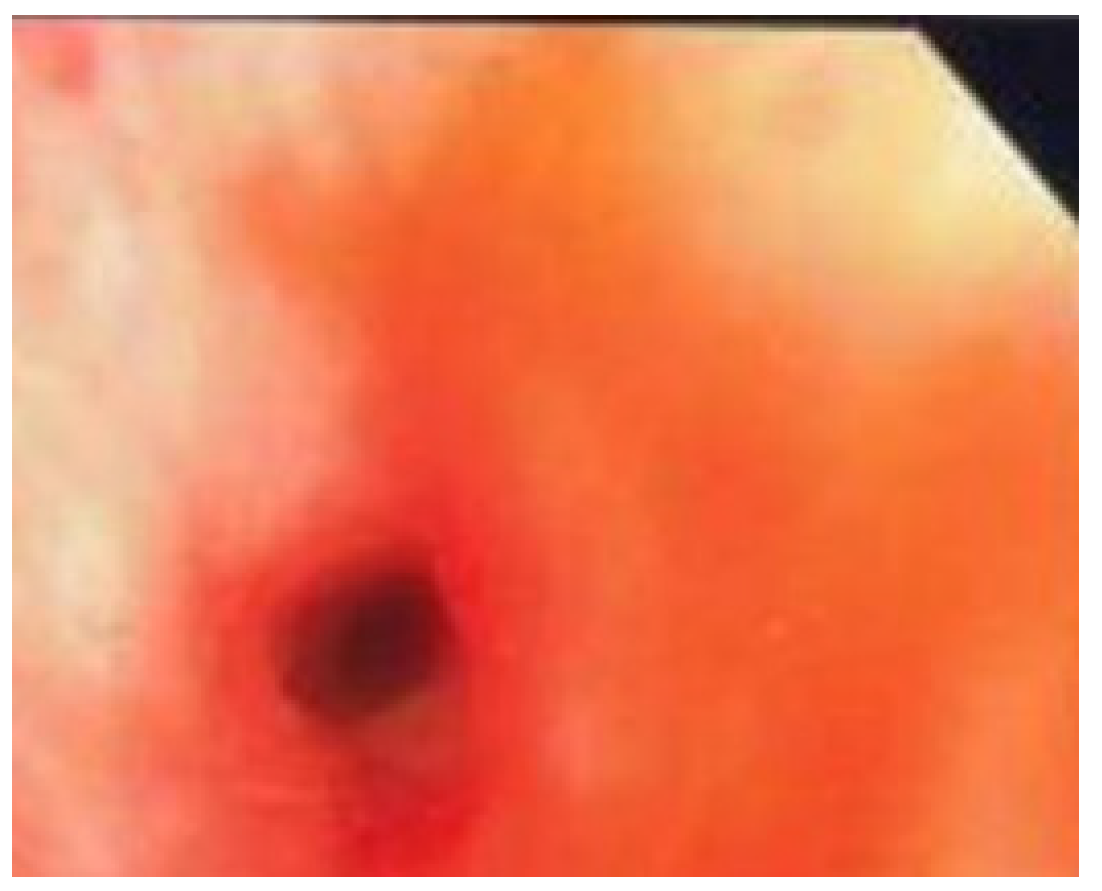 Jcm 11 00676 g002 Jcm 11 00676 g002