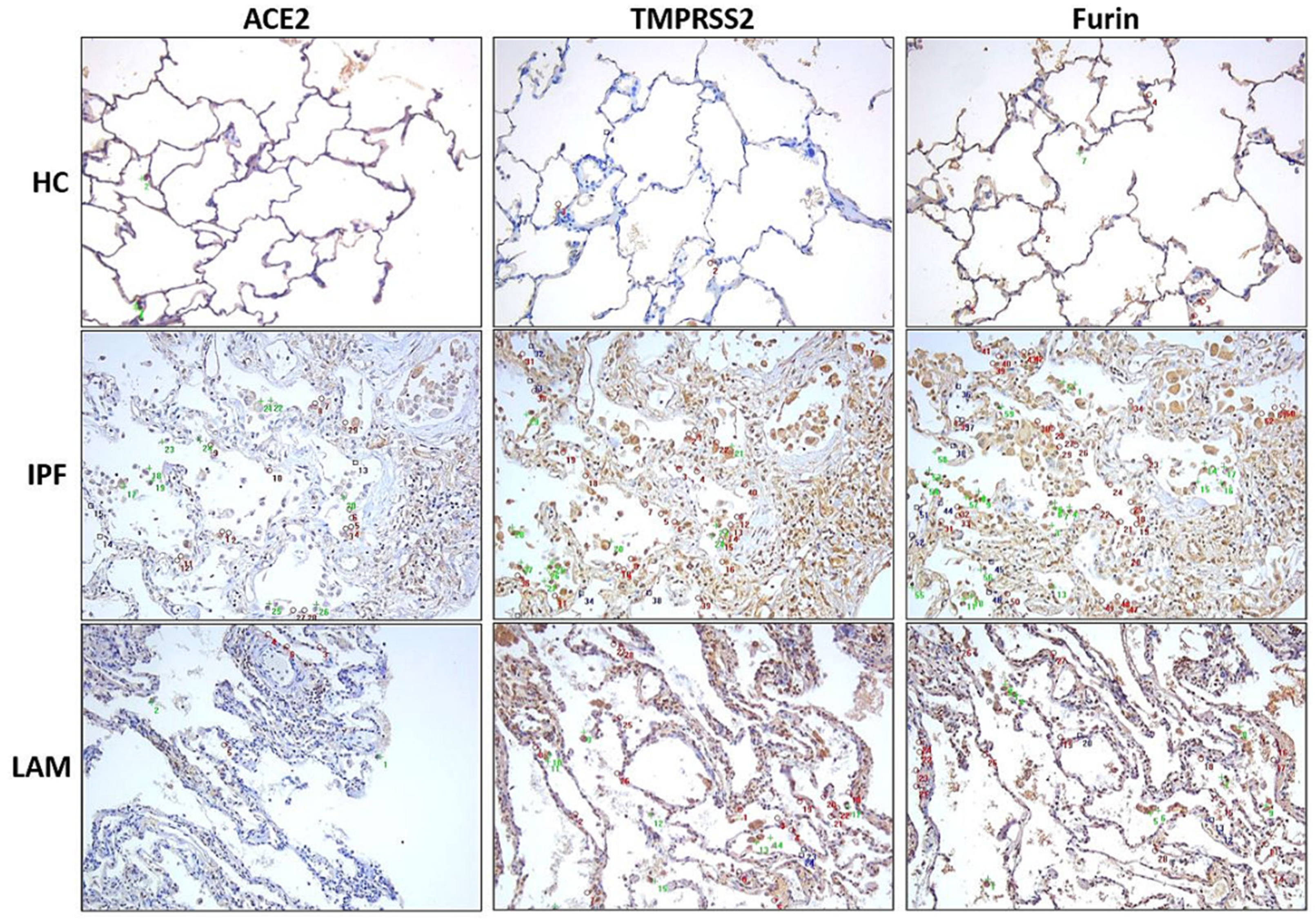 Jcm 11 00777 g002 550