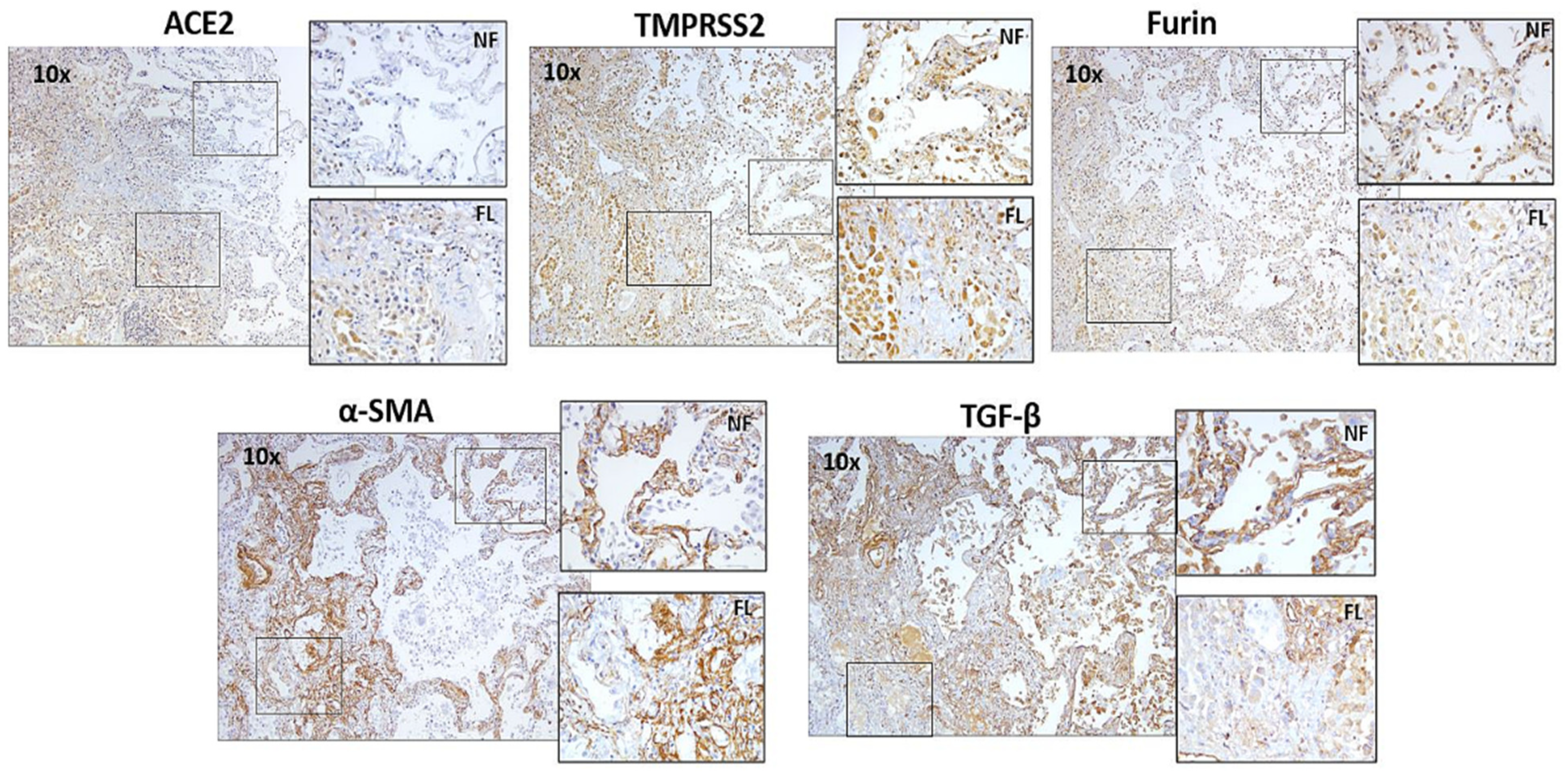 Jcm 11 00777 g004 550