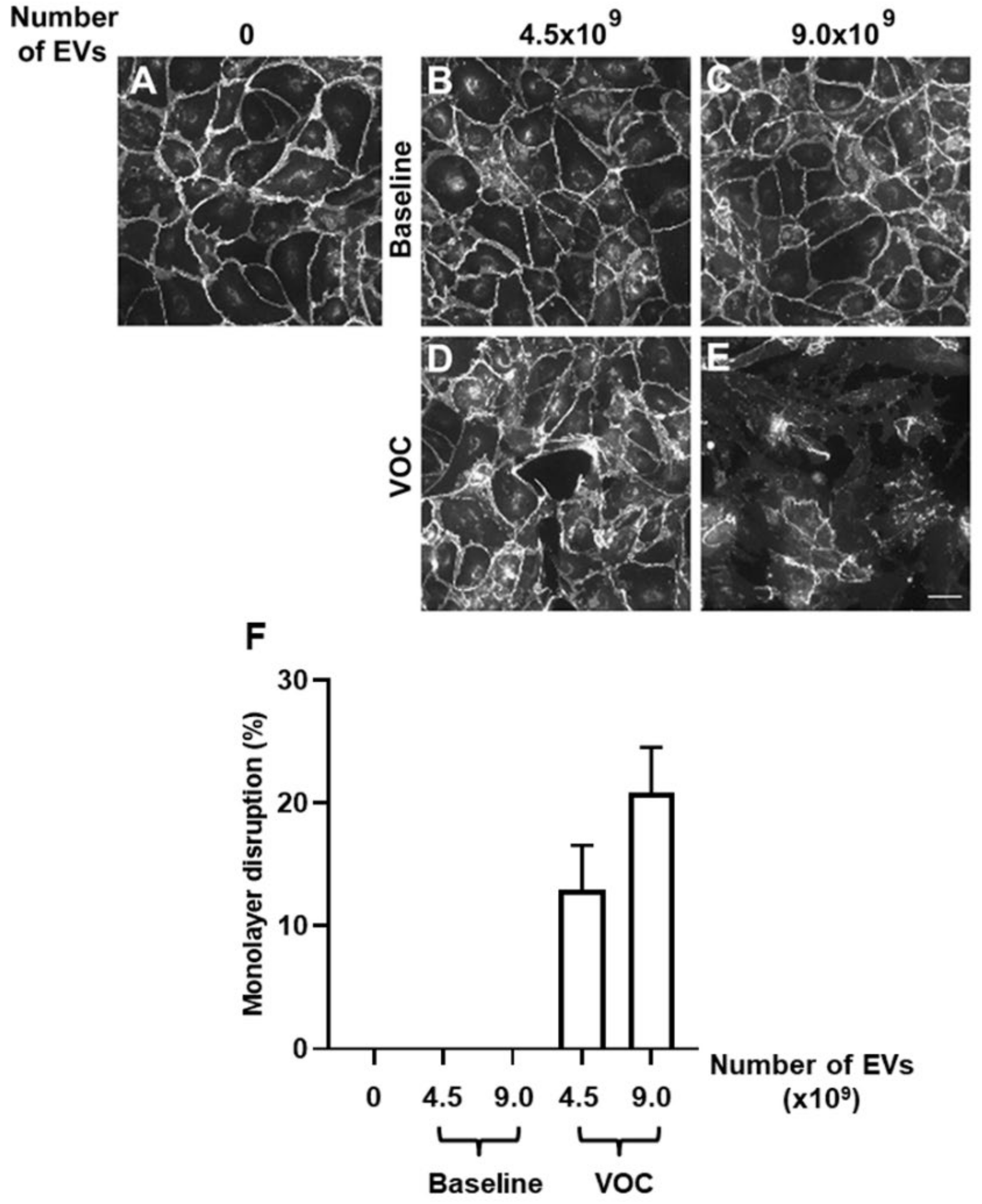 Jcm 11 00816 g001 550