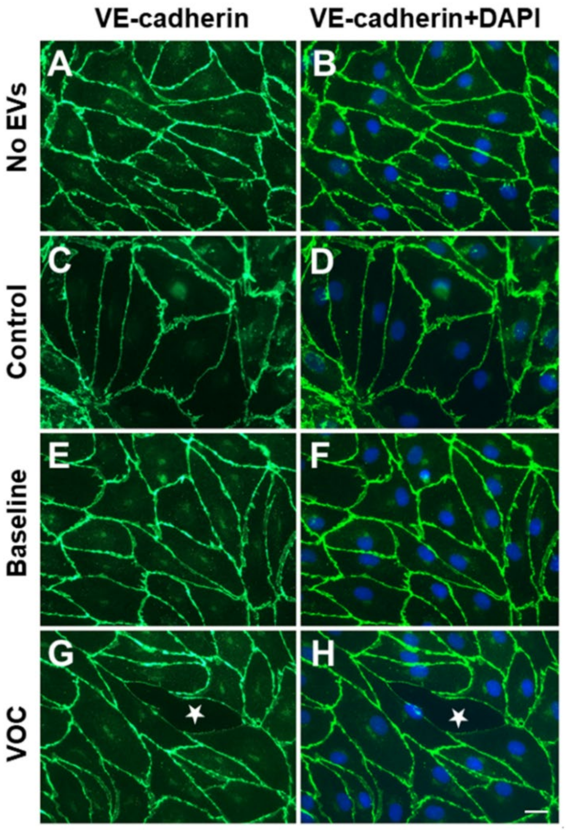 Jcm 11 00816 g002 550