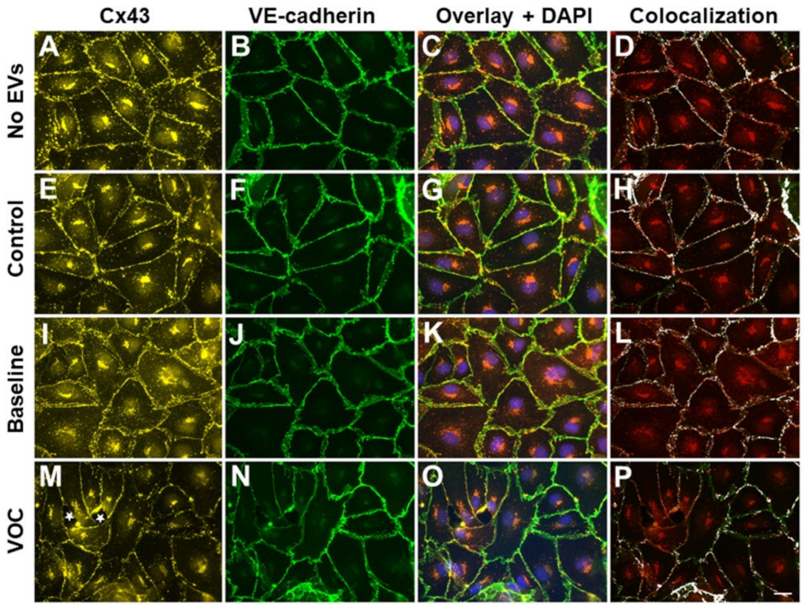 Jcm 11 00816 g005 550