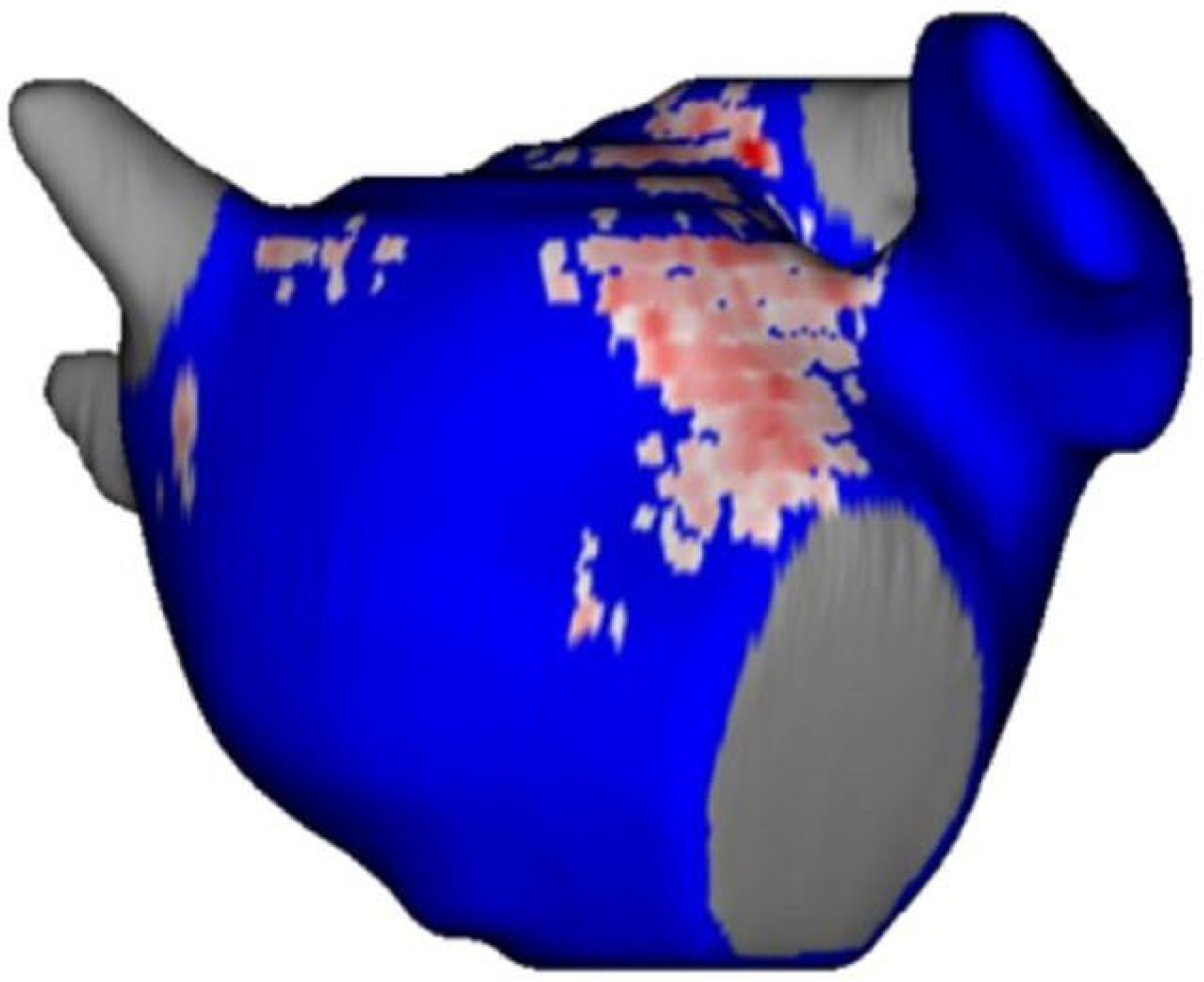 Jcm 11 00830 g002 Jcm 11 00830 g002