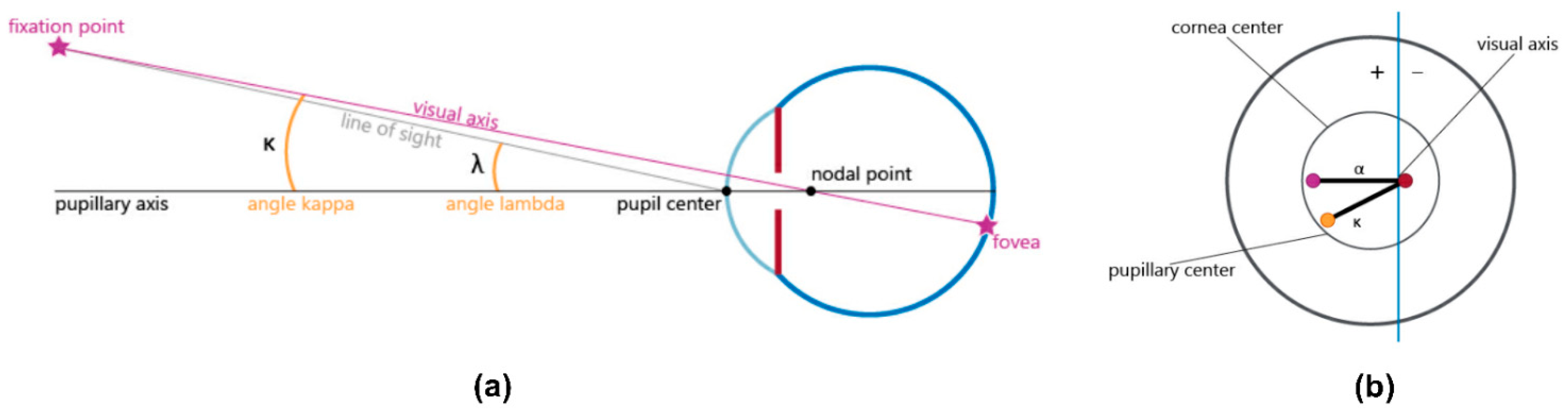 Jcm 11 00896 g001 Jcm 11 00896 g001