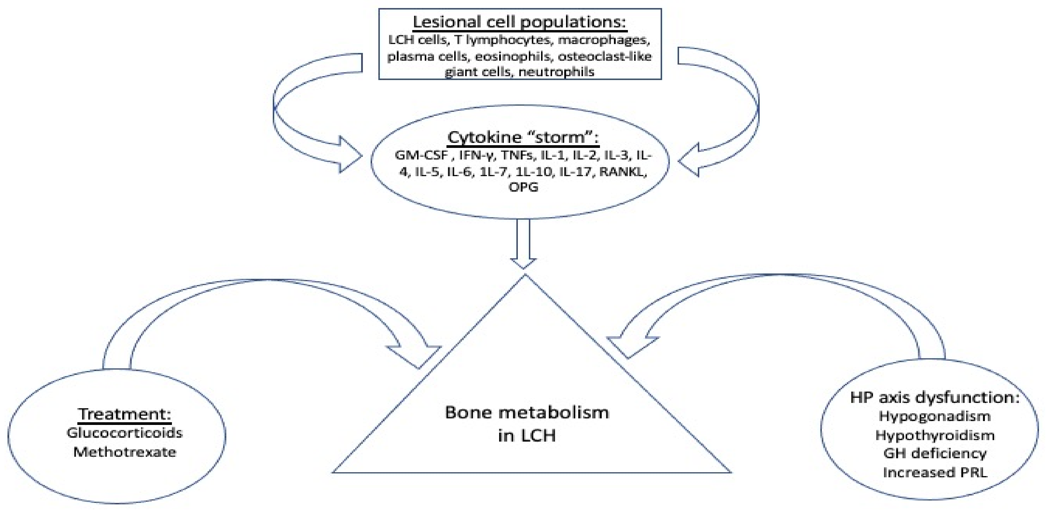 Jcm 11 00909 g001 Jcm 11 00909 g001